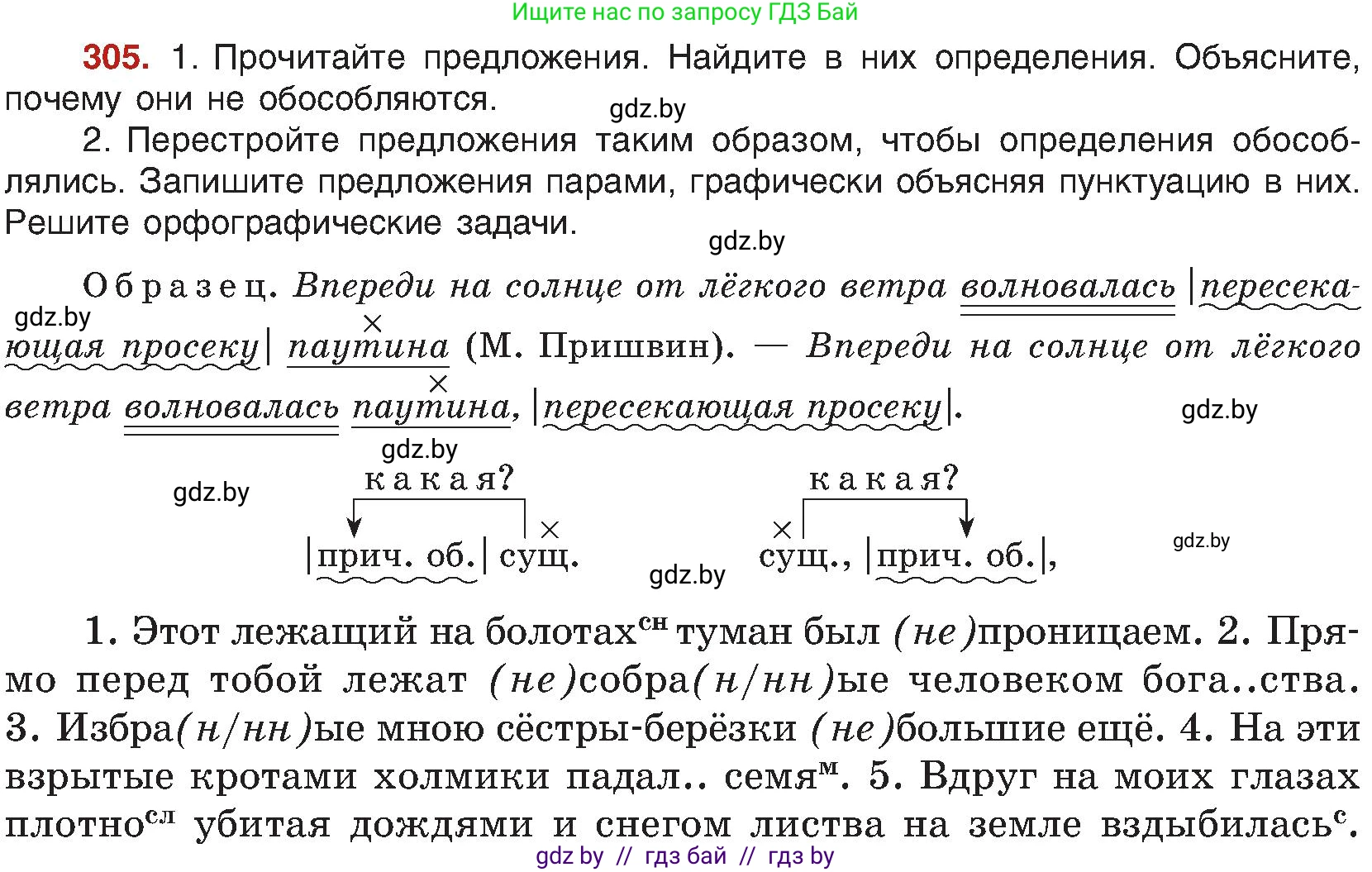 Русский язык, 8 класс Учебник, авторы: Мурина Лариса Александровна, Долбик Елена Евгеньевна, Леонович Валентина Леонидовна, Жадейко Жанна Фёдоровна, издательство Академия образования, Минск, 2024, страница 167, номер 305, Условие