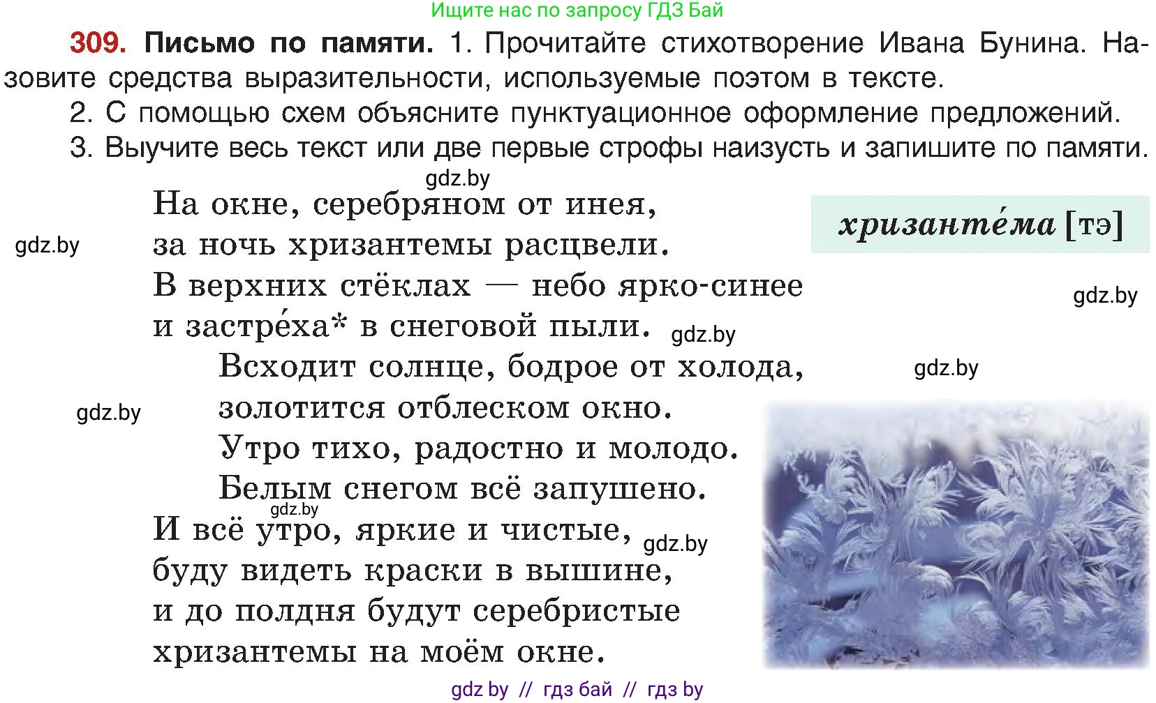 Русский язык, 8 класс Учебник, авторы: Мурина Лариса Александровна, Долбик Елена Евгеньевна, Леонович Валентина Леонидовна, Жадейко Жанна Фёдоровна, издательство Академия образования, Минск, 2024, страница 169, номер 309, Условие