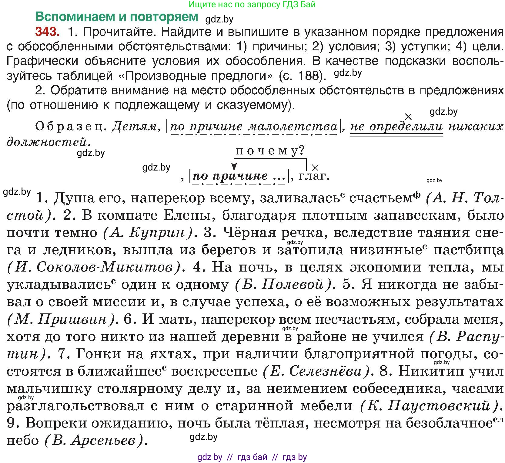 Русский язык, 8 класс Учебник, авторы: Мурина Лариса Александровна, Долбик Елена Евгеньевна, Леонович Валентина Леонидовна, Жадейко Жанна Фёдоровна, издательство Академия образования, Минск, 2024, страница 187, номер 343, Условие