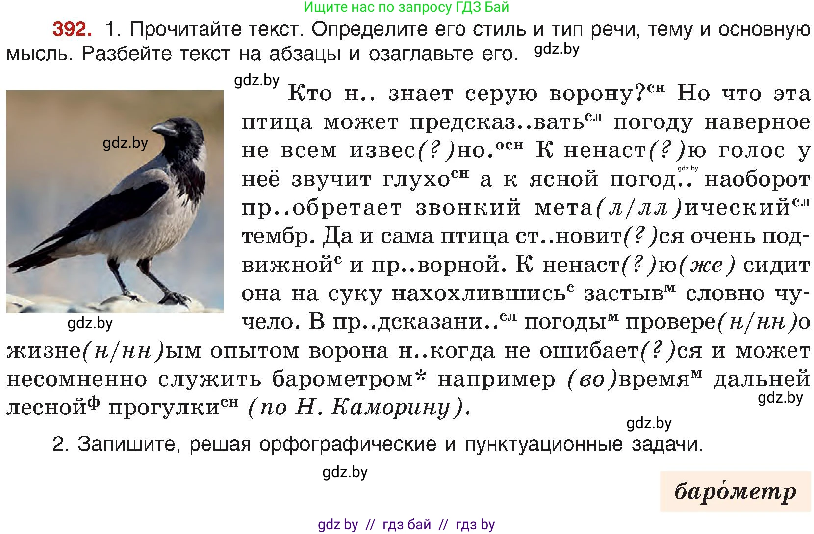 Русский язык, 8 класс Учебник, авторы: Мурина Лариса Александровна, Долбик Елена Евгеньевна, Леонович Валентина Леонидовна, Жадейко Жанна Фёдоровна, издательство Академия образования, Минск, 2024, страница 216, номер 392, Условие