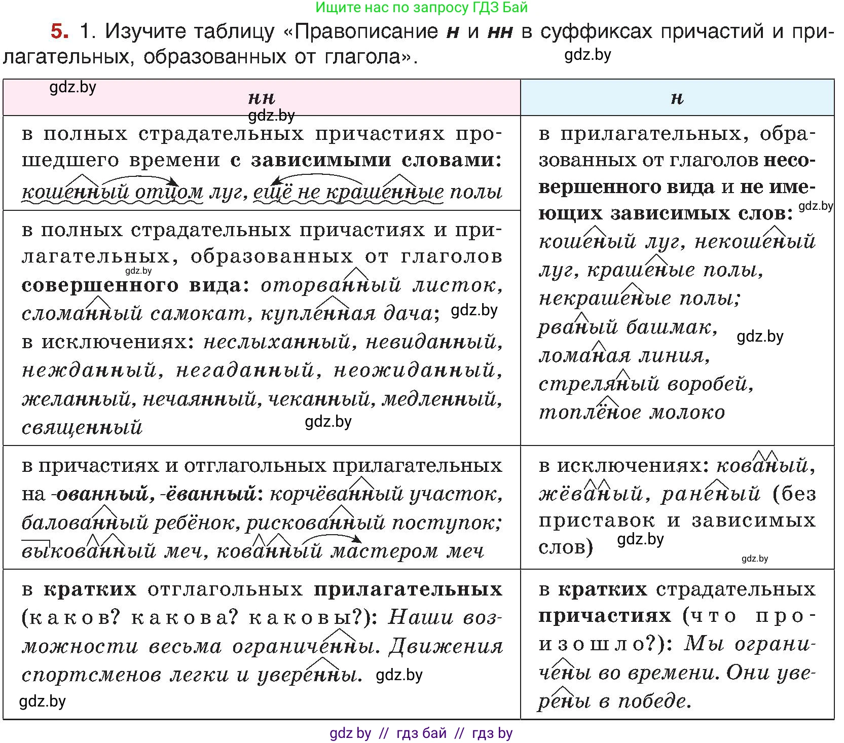 Русский язык, 8 класс Учебник, авторы: Мурина Лариса Александровна, Долбик Елена Евгеньевна, Леонович Валентина Леонидовна, Жадейко Жанна Фёдоровна, издательство Академия образования, Минск, 2024, страница 9, номер 5, Условие