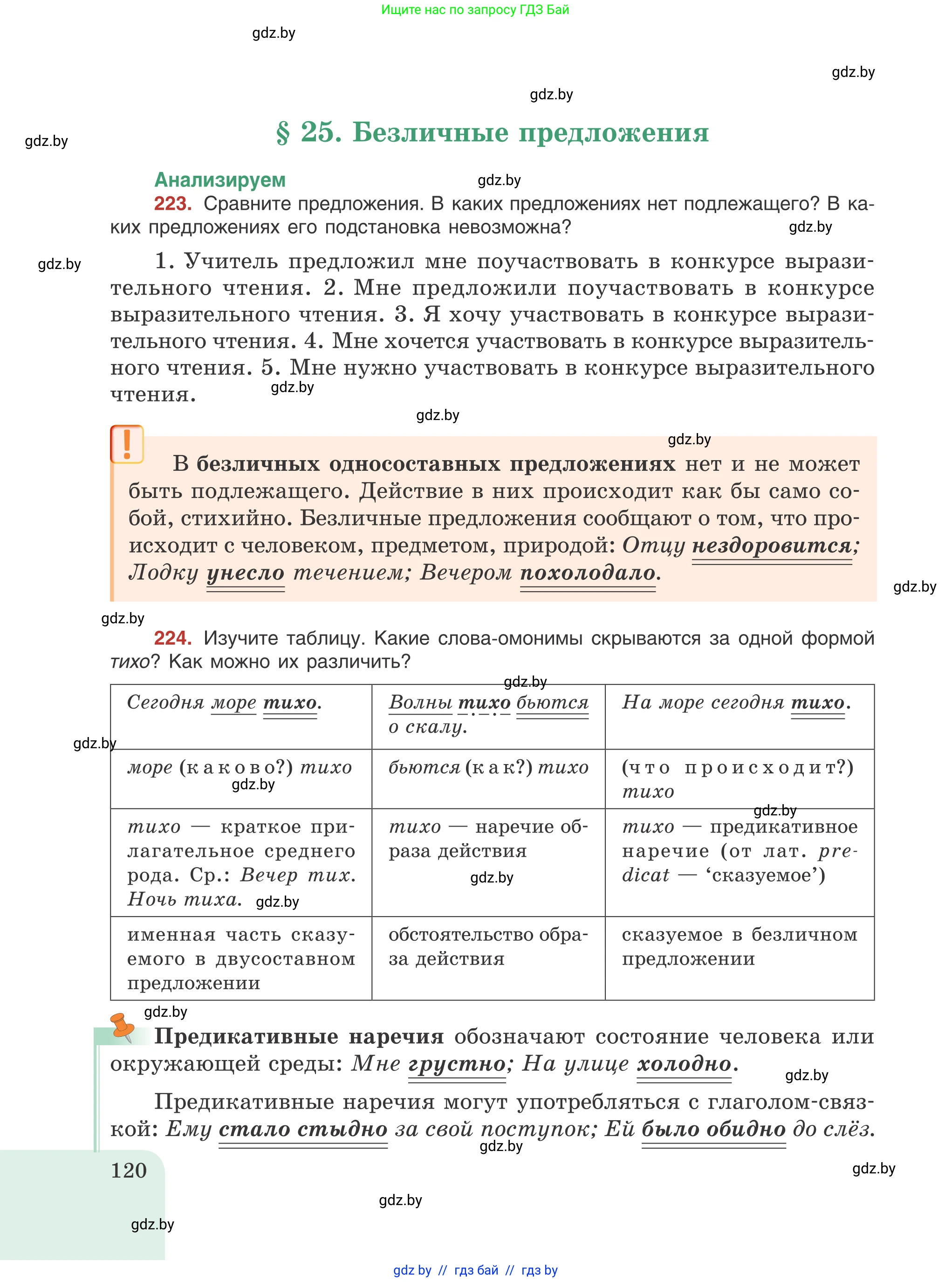 Русский язык, 8 класс Учебник, авторы: Мурина Лариса Александровна, Долбик Елена Евгеньевна, Леонович Валентина Леонидовна, Жадейко Жанна Фёдоровна, издательство Академия образования, Минск, 2024, страница 120