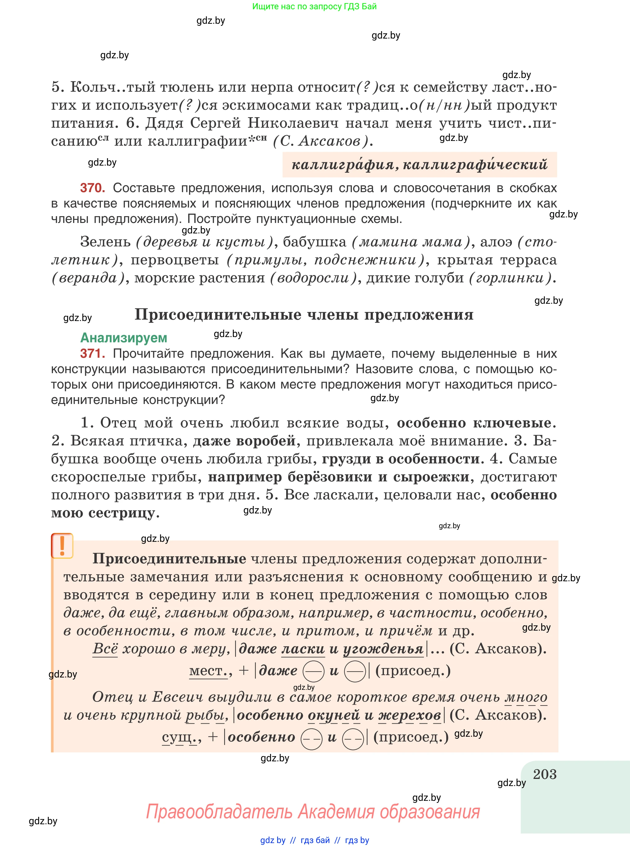 Русский язык, 8 класс Учебник, авторы: Мурина Лариса Александровна, Долбик Елена Евгеньевна, Леонович Валентина Леонидовна, Жадейко Жанна Фёдоровна, издательство Академия образования, Минск, 2024, страница 203