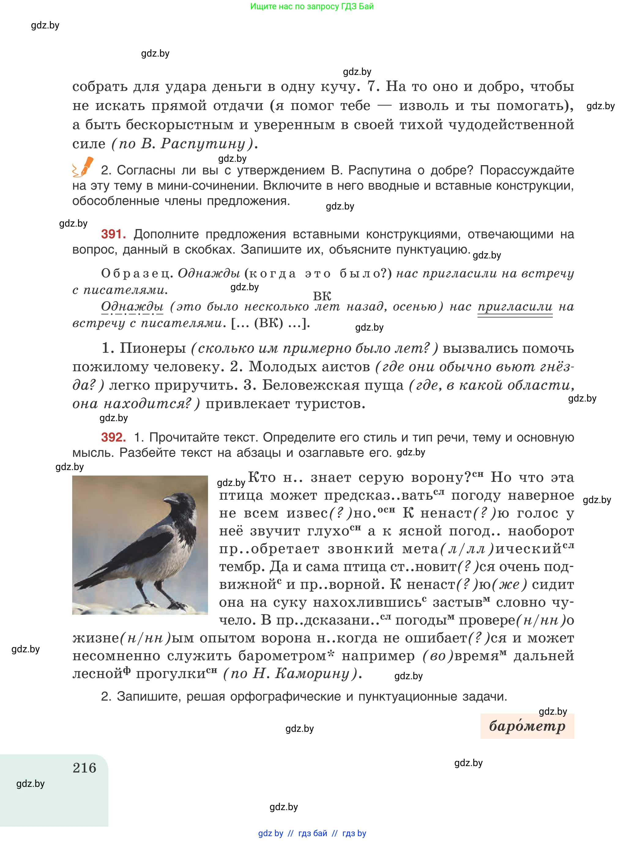 Русский язык, 8 класс Учебник, авторы: Мурина Лариса Александровна, Долбик Елена Евгеньевна, Леонович Валентина Леонидовна, Жадейко Жанна Фёдоровна, издательство Академия образования, Минск, 2024, страница 216