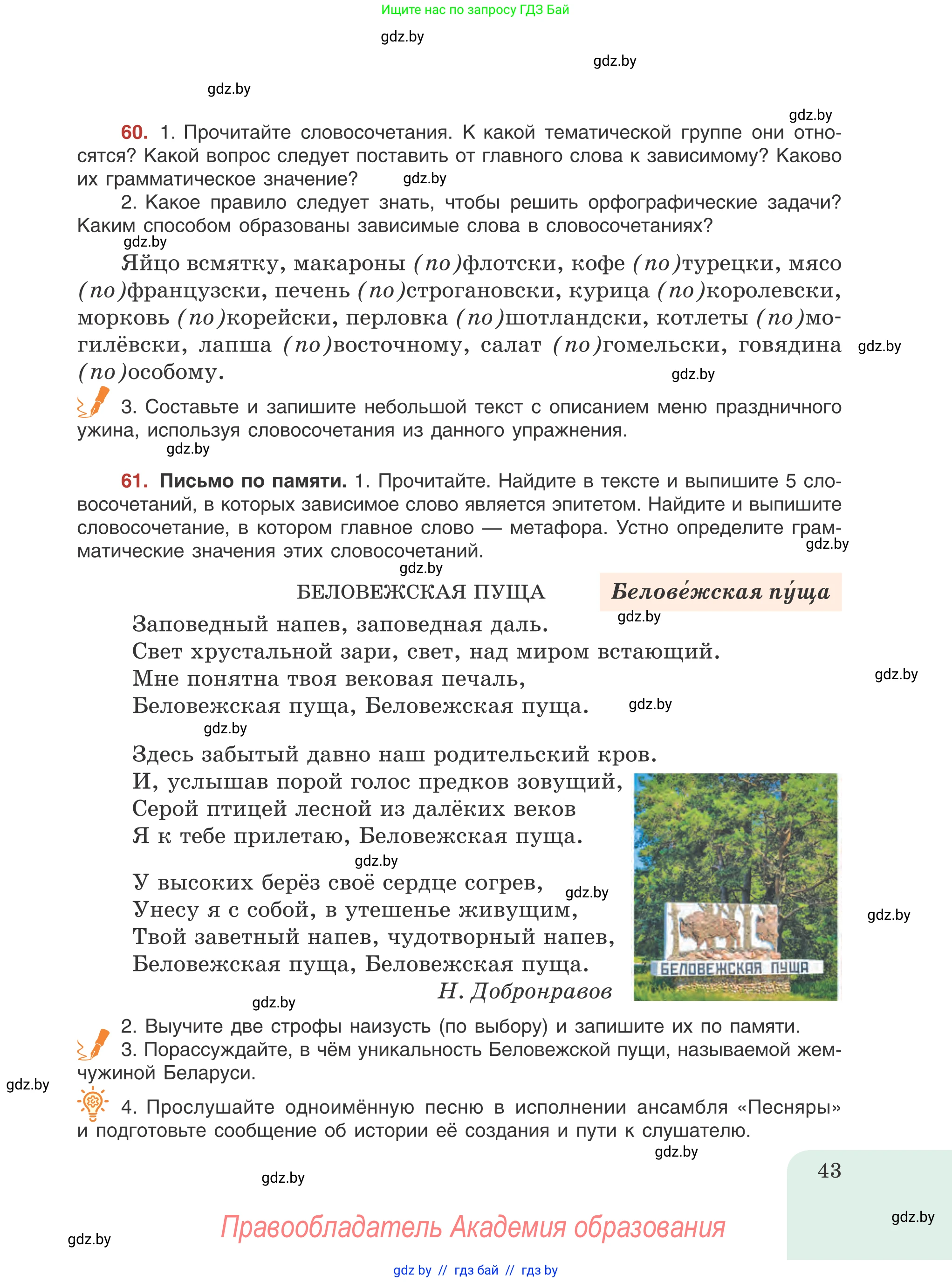 Русский язык, 8 класс Учебник, авторы: Мурина Лариса Александровна, Долбик Елена Евгеньевна, Леонович Валентина Леонидовна, Жадейко Жанна Фёдоровна, издательство Академия образования, Минск, 2024, страница 43