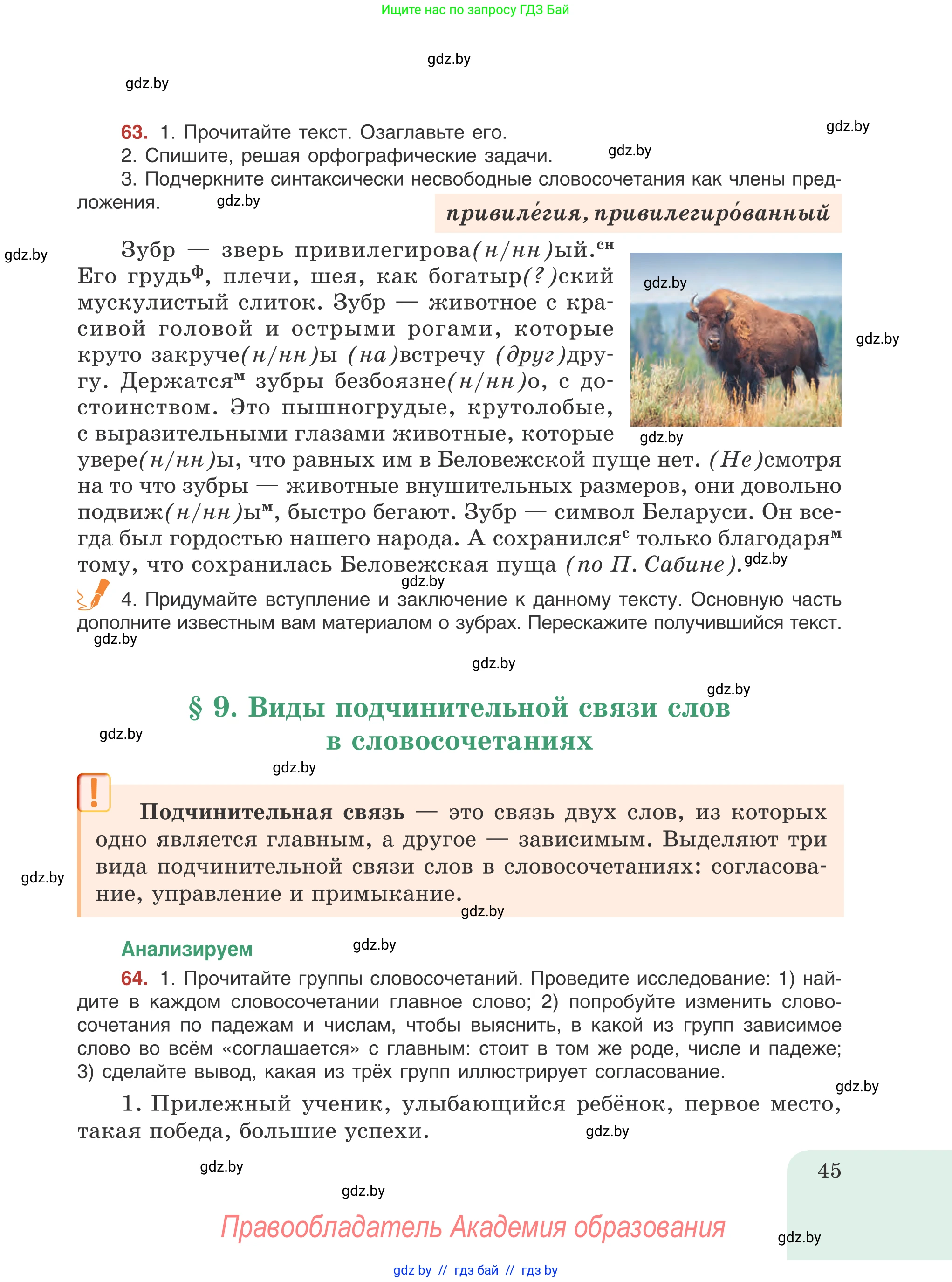 Русский язык, 8 класс Учебник, авторы: Мурина Лариса Александровна, Долбик Елена Евгеньевна, Леонович Валентина Леонидовна, Жадейко Жанна Фёдоровна, издательство Академия образования, Минск, 2024, страница 45