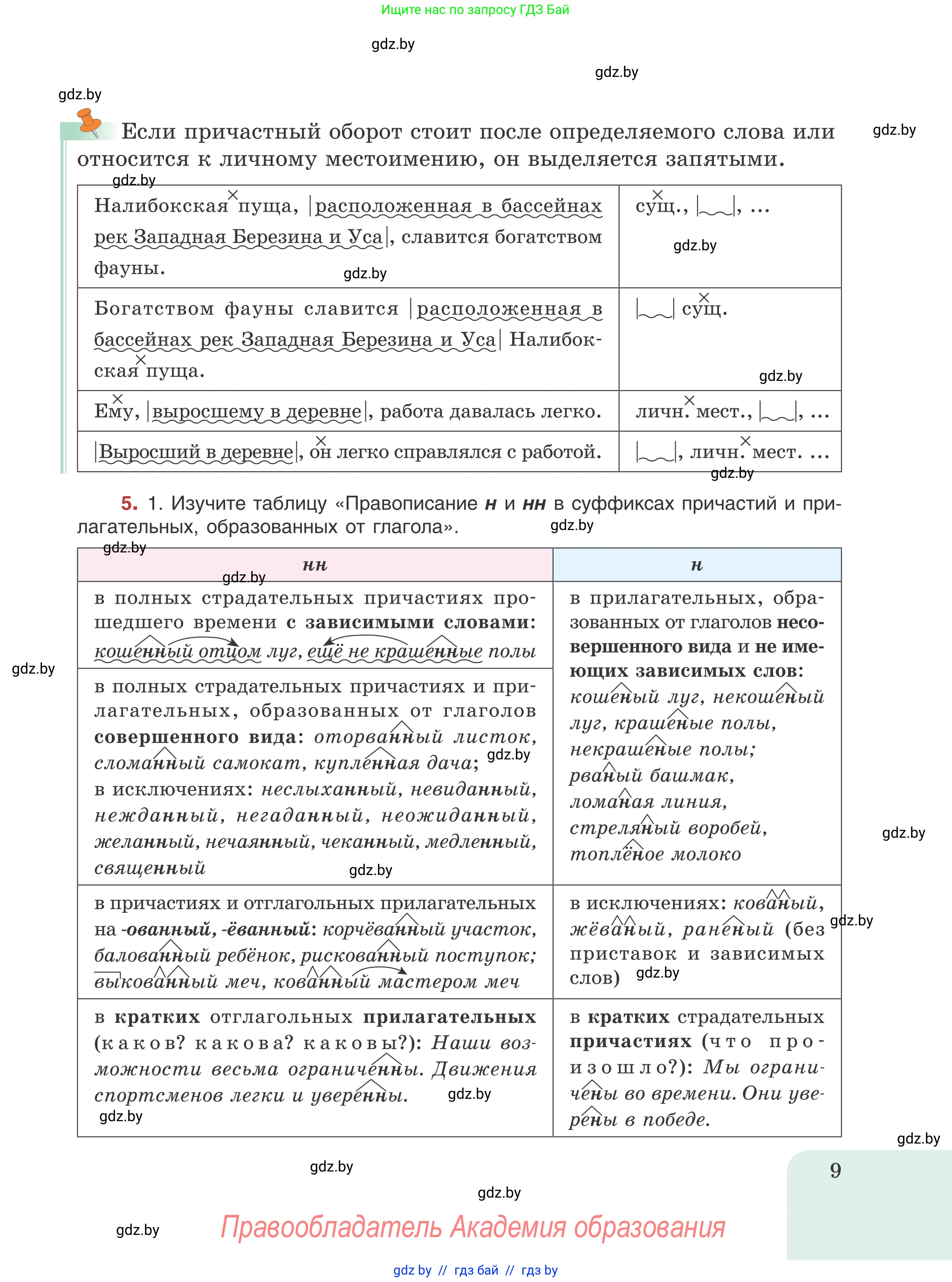 Русский язык, 8 класс Учебник, авторы: Мурина Лариса Александровна, Долбик Елена Евгеньевна, Леонович Валентина Леонидовна, Жадейко Жанна Фёдоровна, издательство Академия образования, Минск, 2024, страница 9