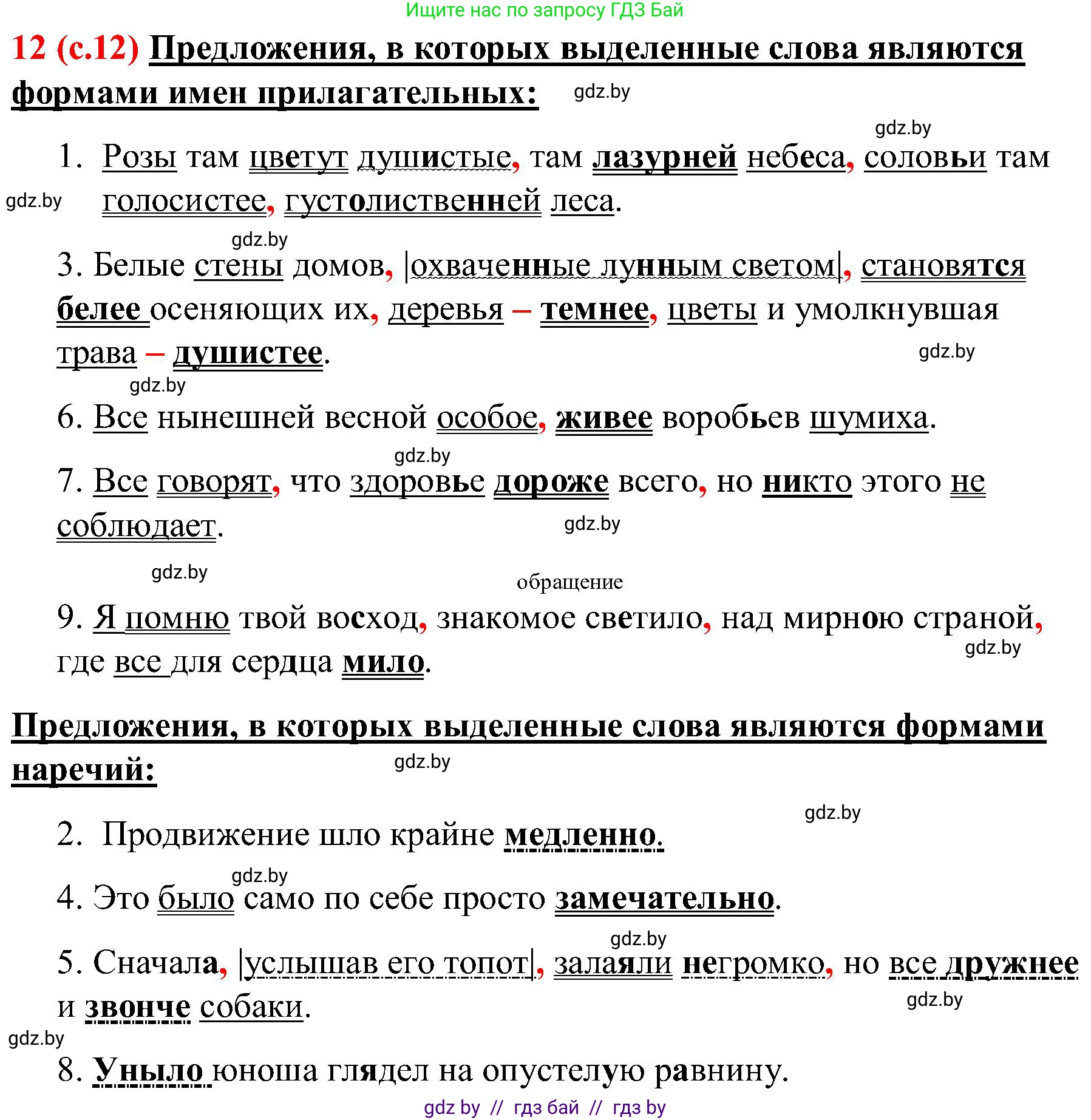 Русский язык, 8 класс Учебник, авторы: Мурина Лариса Александровна, Долбик Елена Евгеньевна, Леонович Валентина Леонидовна, Жадейко Жанна Фёдоровна, издательство Академия образования, Минск, 2024, страница 13, номер 12, Решение