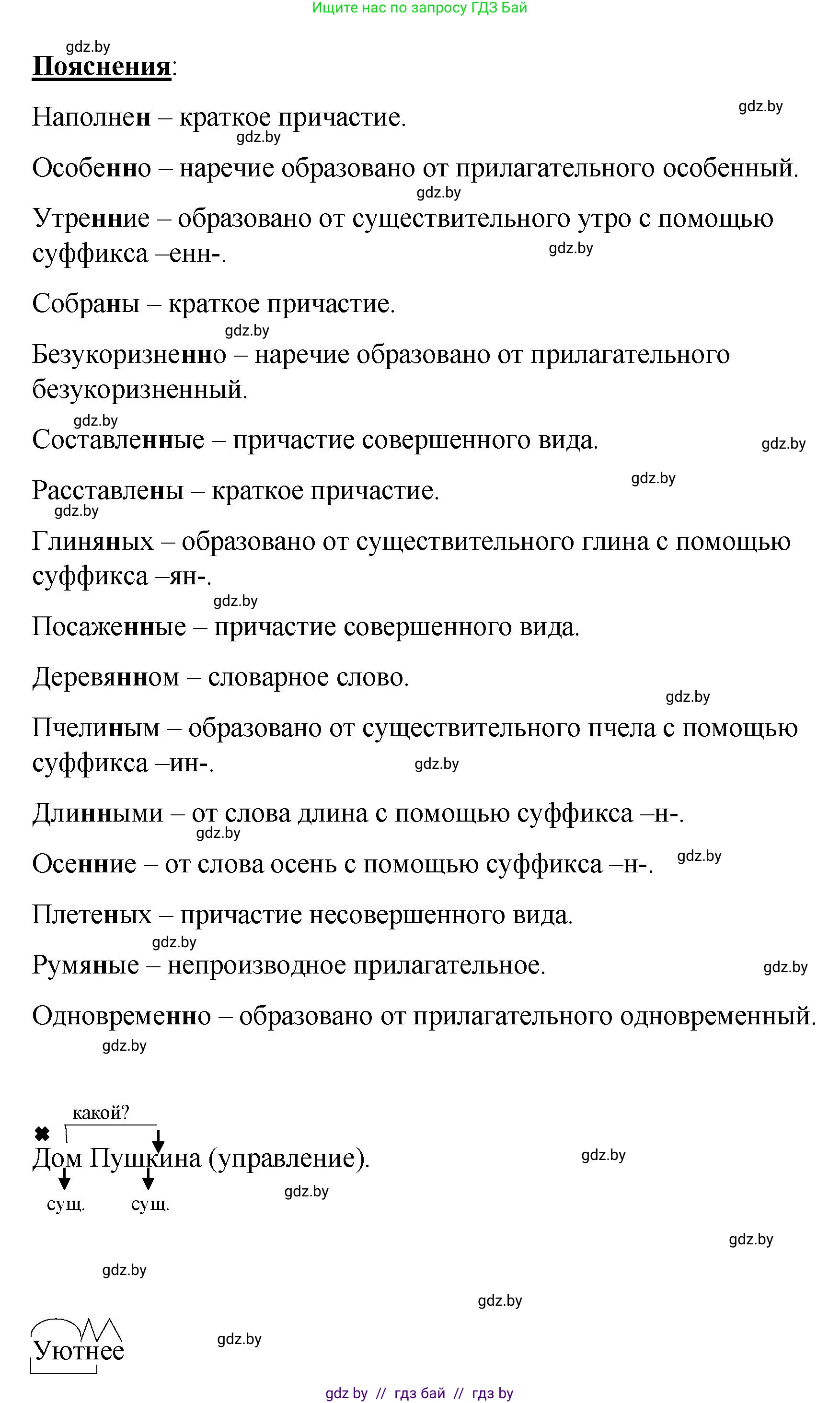 Русский язык, 8 класс Учебник, авторы: Мурина Лариса Александровна, Долбик Елена Евгеньевна, Леонович Валентина Леонидовна, Жадейко Жанна Фёдоровна, издательство Академия образования, Минск, 2024, страница 86, номер 146, Решение (продолжение 2)
