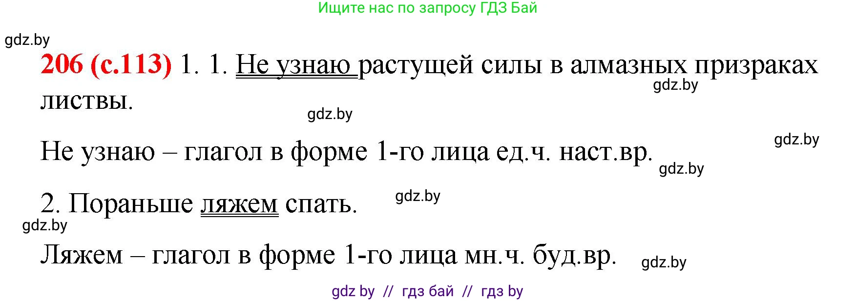 Русский язык, 8 класс Учебник, авторы: Мурина Лариса Александровна, Долбик Елена Евгеньевна, Леонович Валентина Леонидовна, Жадейко Жанна Фёдоровна, издательство Академия образования, Минск, 2024, страница 113, номер 206, Решение