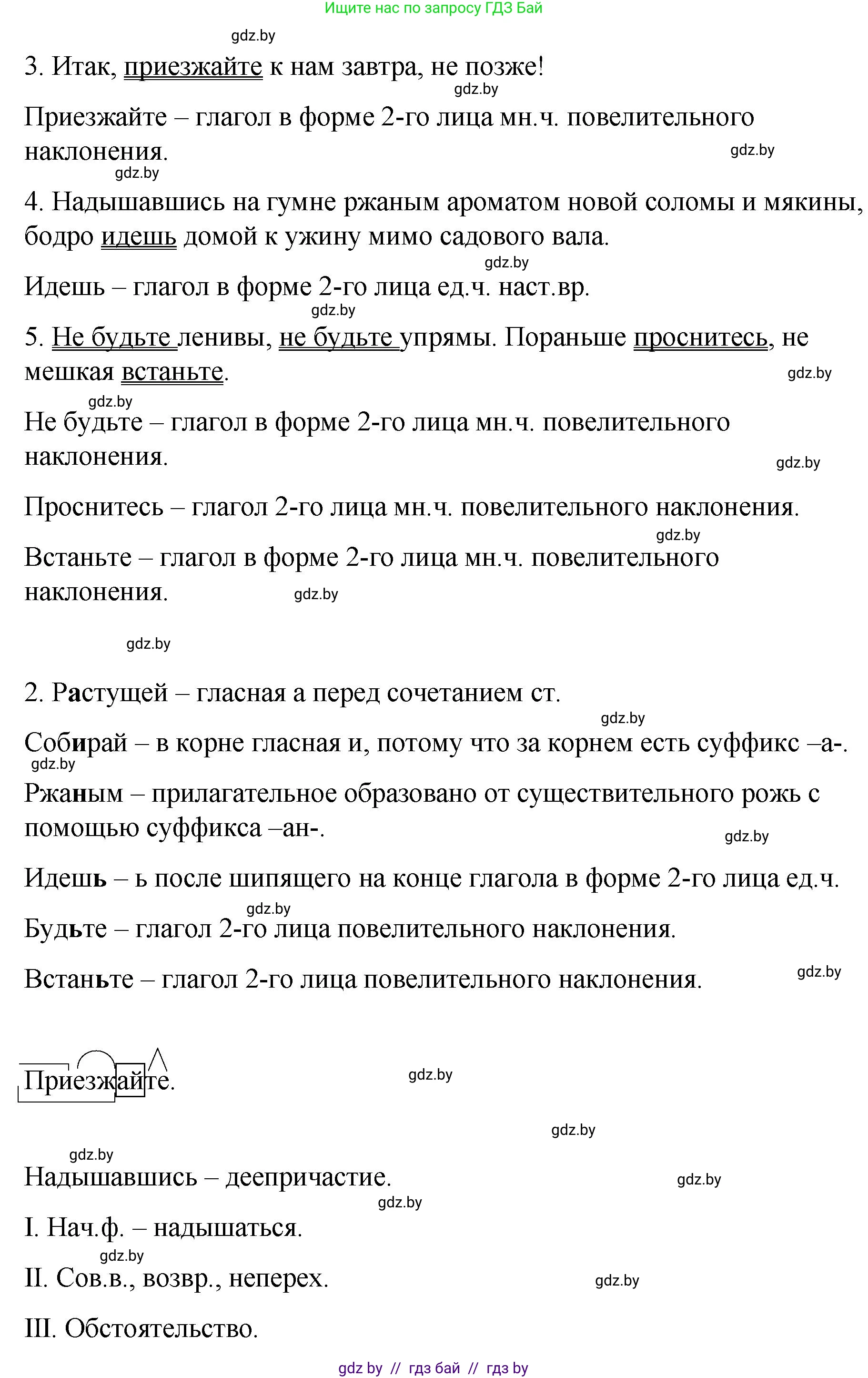 Русский язык, 8 класс Учебник, авторы: Мурина Лариса Александровна, Долбик Елена Евгеньевна, Леонович Валентина Леонидовна, Жадейко Жанна Фёдоровна, издательство Академия образования, Минск, 2024, страница 113, номер 206, Решение (продолжение 2)
