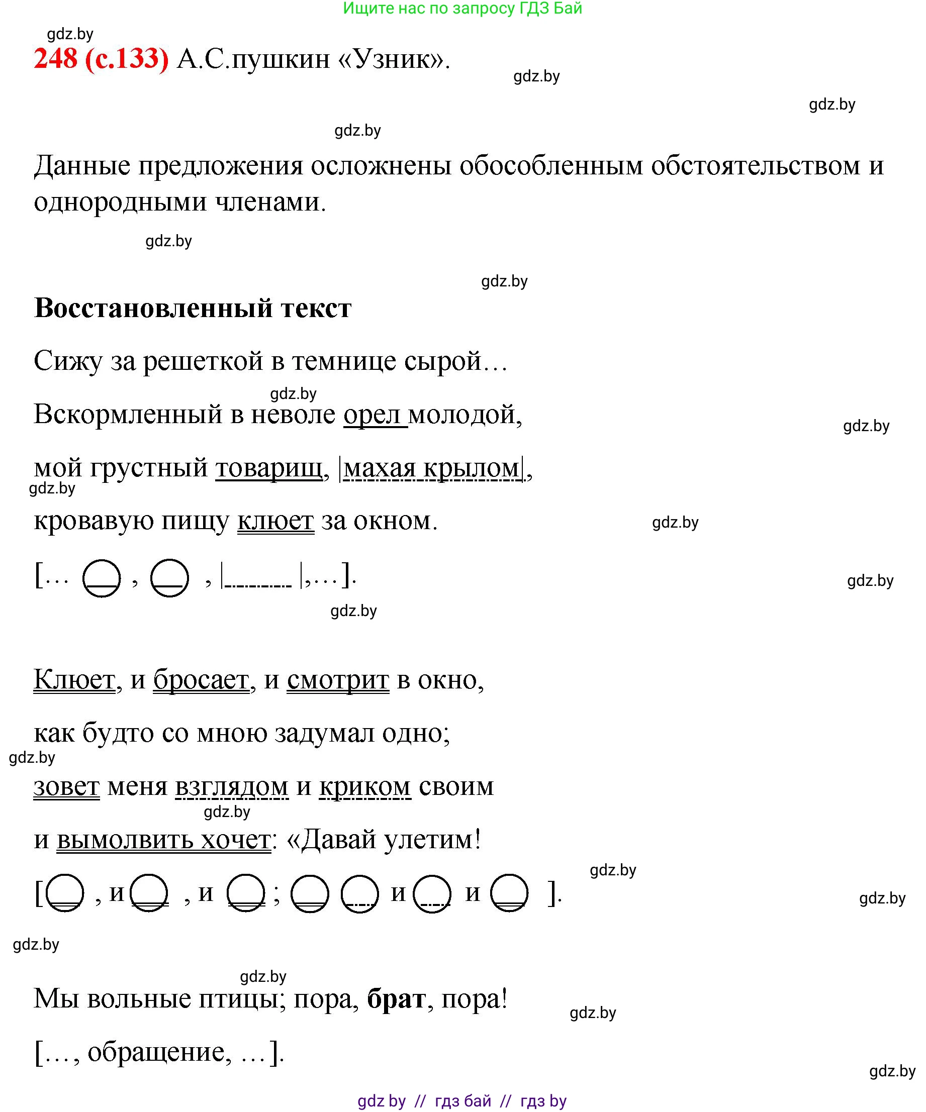 Русский язык, 8 класс Учебник, авторы: Мурина Лариса Александровна, Долбик Елена Евгеньевна, Леонович Валентина Леонидовна, Жадейко Жанна Фёдоровна, издательство Академия образования, Минск, 2024, страница 133, номер 248, Решение