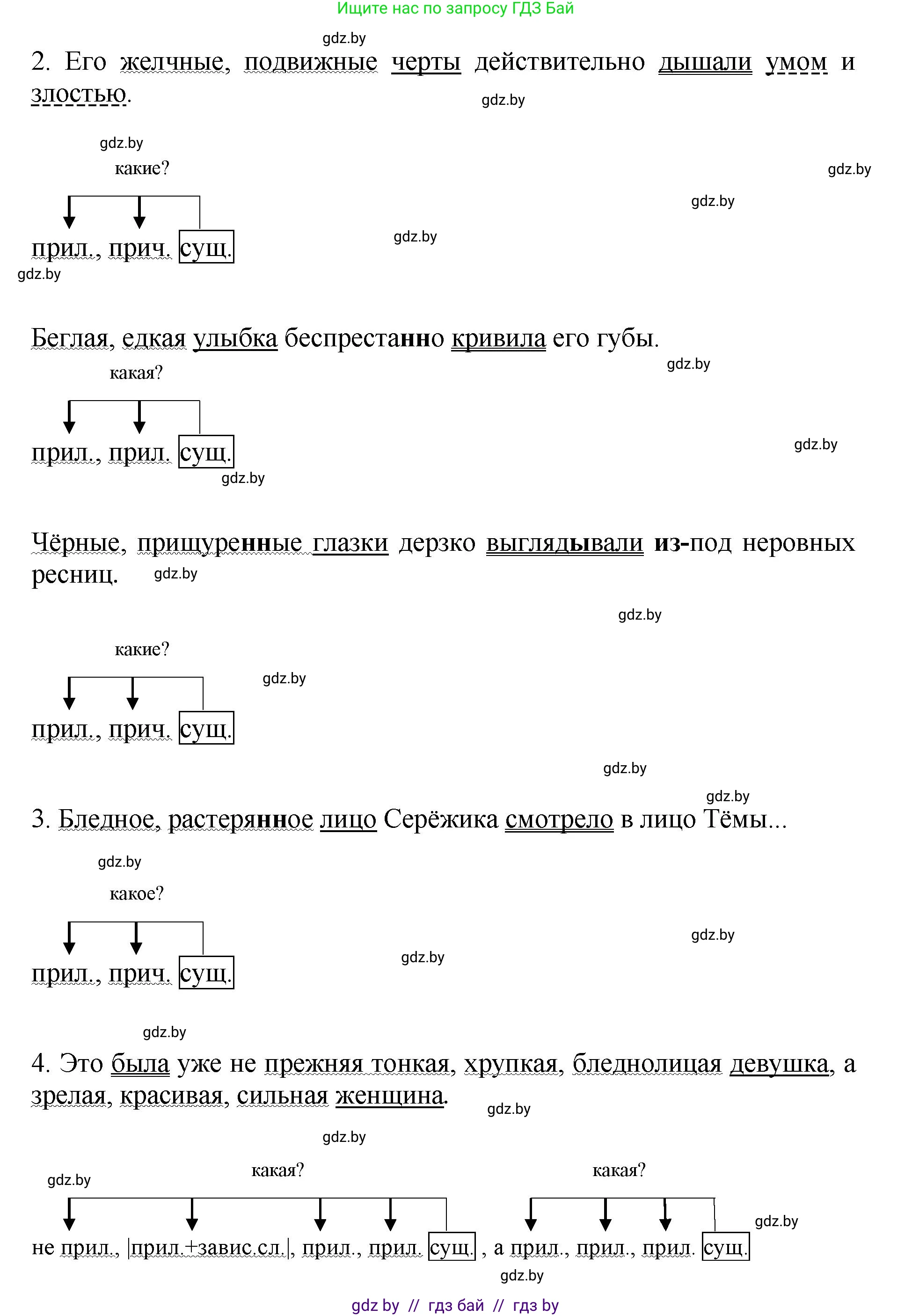 Русский язык, 8 класс Учебник, авторы: Мурина Лариса Александровна, Долбик Елена Евгеньевна, Леонович Валентина Леонидовна, Жадейко Жанна Фёдоровна, издательство Академия образования, Минск, 2024, страница 144, номер 263, Решение (продолжение 2)
