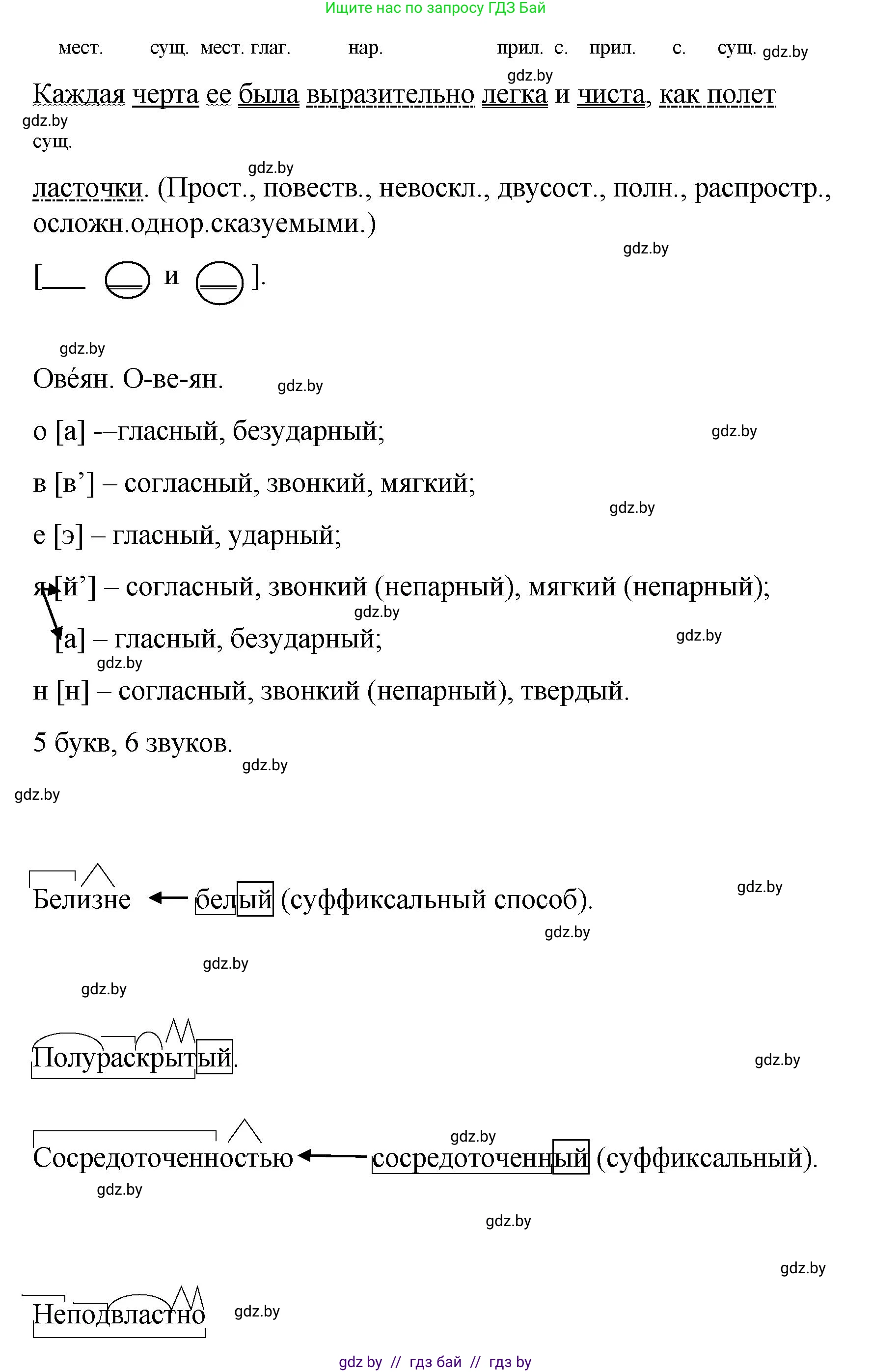 Русский язык, 8 класс Учебник, авторы: Мурина Лариса Александровна, Долбик Елена Евгеньевна, Леонович Валентина Леонидовна, Жадейко Жанна Фёдоровна, издательство Академия образования, Минск, 2024, страница 144, номер 264, Решение (продолжение 2)