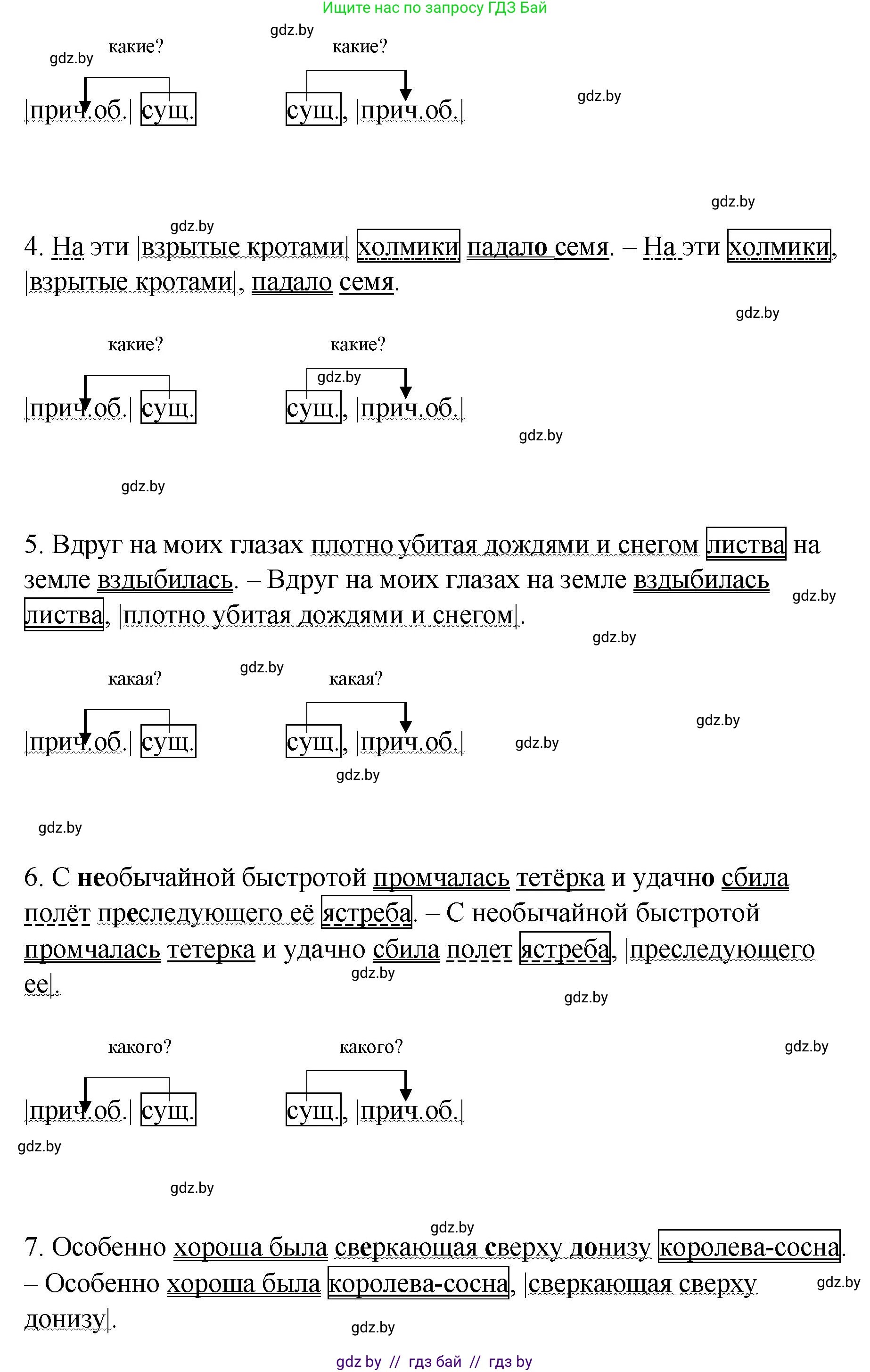 Русский язык, 8 класс Учебник, авторы: Мурина Лариса Александровна, Долбик Елена Евгеньевна, Леонович Валентина Леонидовна, Жадейко Жанна Фёдоровна, издательство Академия образования, Минск, 2024, страница 167, номер 305, Решение (продолжение 2)