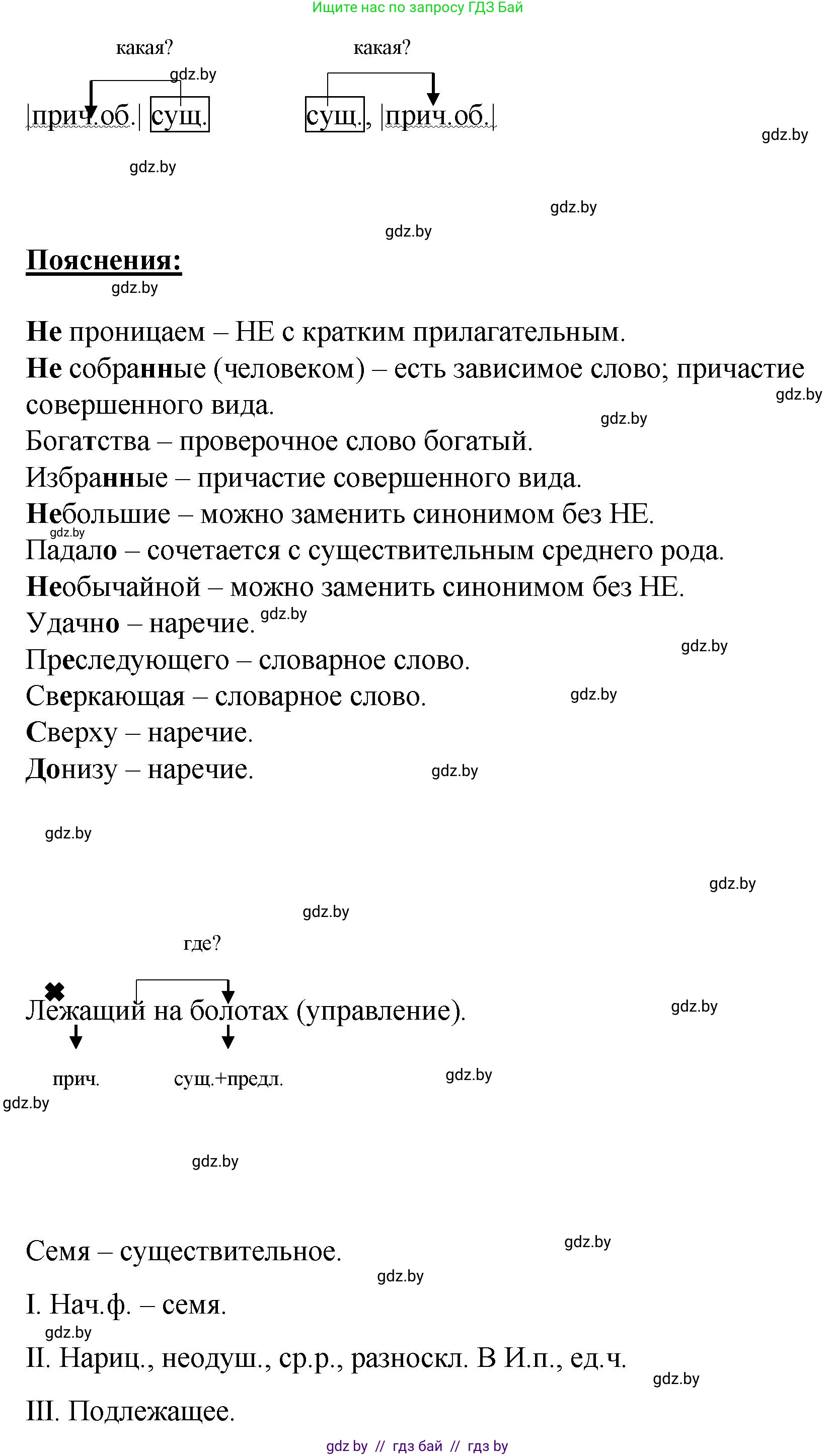 Русский язык, 8 класс Учебник, авторы: Мурина Лариса Александровна, Долбик Елена Евгеньевна, Леонович Валентина Леонидовна, Жадейко Жанна Фёдоровна, издательство Академия образования, Минск, 2024, страница 167, номер 305, Решение (продолжение 3)