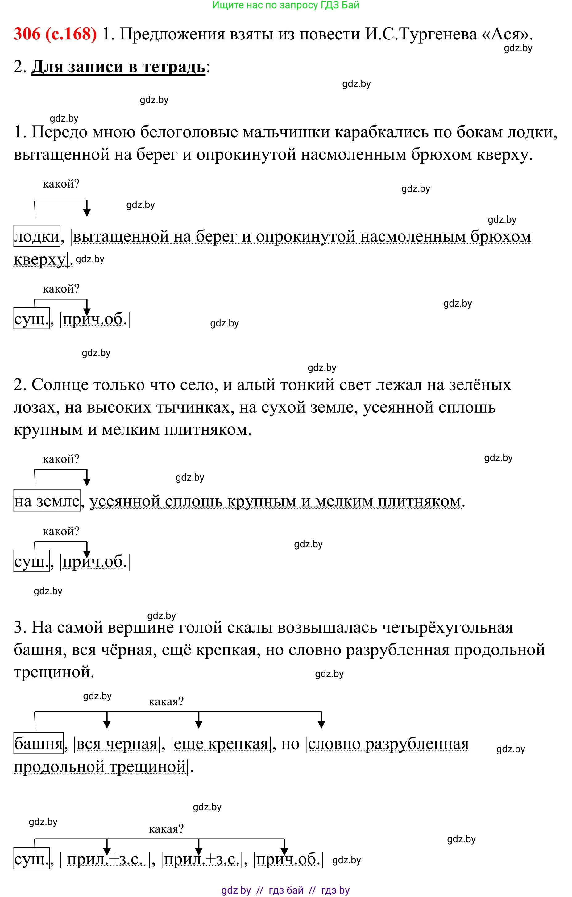 Русский язык, 8 класс Учебник, авторы: Мурина Лариса Александровна, Долбик Елена Евгеньевна, Леонович Валентина Леонидовна, Жадейко Жанна Фёдоровна, издательство Академия образования, Минск, 2024, страница 168, номер 306, Решение