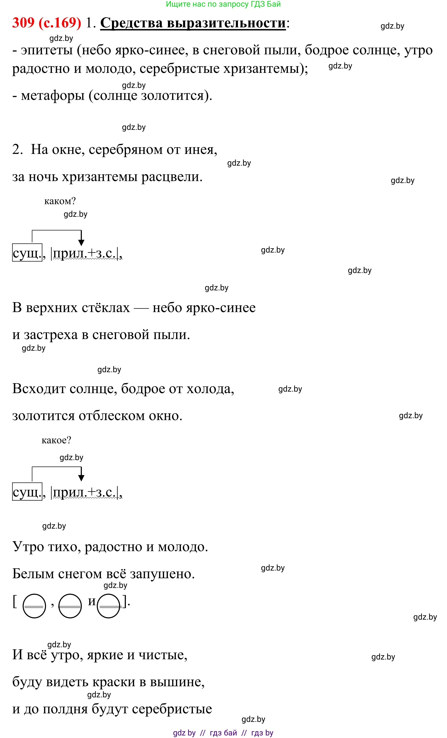 Русский язык, 8 класс Учебник, авторы: Мурина Лариса Александровна, Долбик Елена Евгеньевна, Леонович Валентина Леонидовна, Жадейко Жанна Фёдоровна, издательство Академия образования, Минск, 2024, страница 169, номер 309, Решение