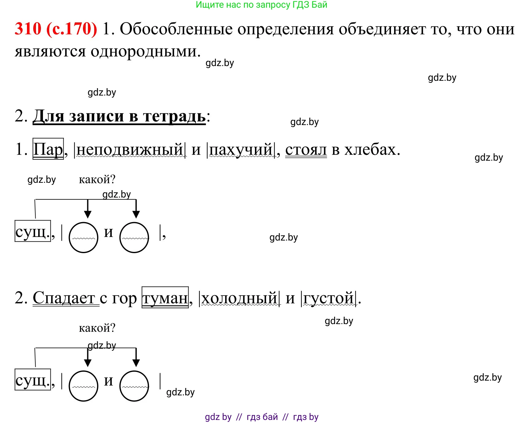 Русский язык, 8 класс Учебник, авторы: Мурина Лариса Александровна, Долбик Елена Евгеньевна, Леонович Валентина Леонидовна, Жадейко Жанна Фёдоровна, издательство Академия образования, Минск, 2024, страница 170, номер 310, Решение