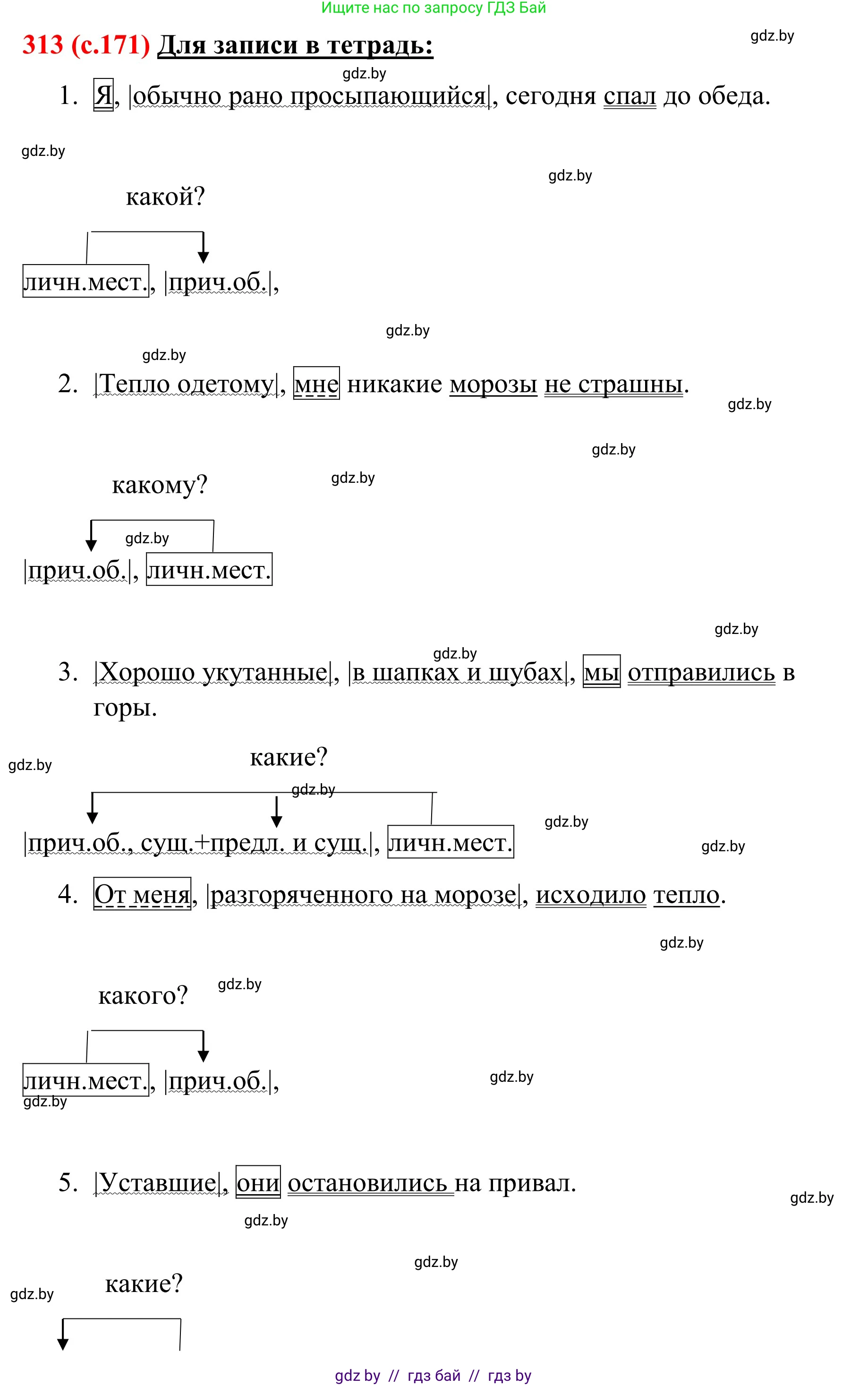 Русский язык, 8 класс Учебник, авторы: Мурина Лариса Александровна, Долбик Елена Евгеньевна, Леонович Валентина Леонидовна, Жадейко Жанна Фёдоровна, издательство Академия образования, Минск, 2024, страница 171, номер 313, Решение