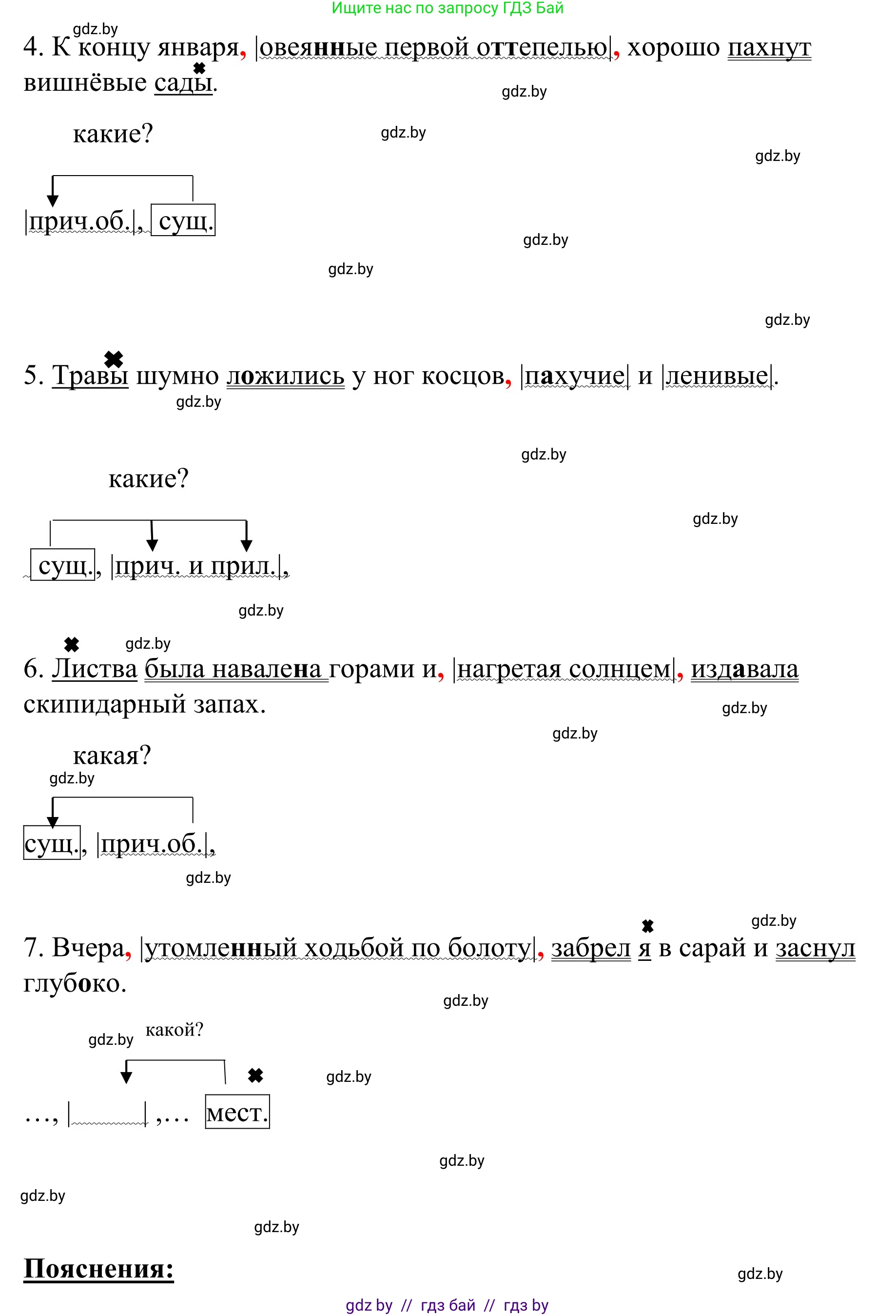 Русский язык, 8 класс Учебник, авторы: Мурина Лариса Александровна, Долбик Елена Евгеньевна, Леонович Валентина Леонидовна, Жадейко Жанна Фёдоровна, издательство Академия образования, Минск, 2024, страница 171, номер 314, Решение (продолжение 2)