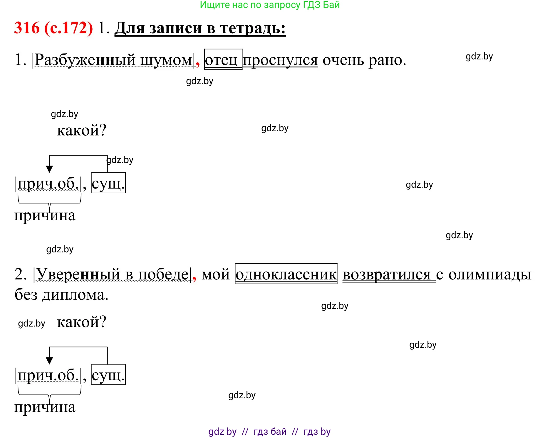 Русский язык, 8 класс Учебник, авторы: Мурина Лариса Александровна, Долбик Елена Евгеньевна, Леонович Валентина Леонидовна, Жадейко Жанна Фёдоровна, издательство Академия образования, Минск, 2024, страница 172, номер 316, Решение