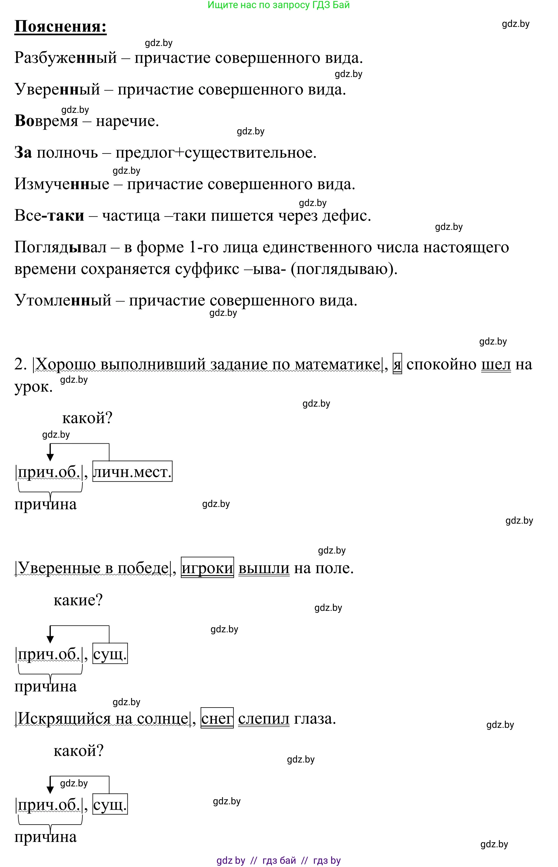 Русский язык, 8 класс Учебник, авторы: Мурина Лариса Александровна, Долбик Елена Евгеньевна, Леонович Валентина Леонидовна, Жадейко Жанна Фёдоровна, издательство Академия образования, Минск, 2024, страница 172, номер 316, Решение (продолжение 3)