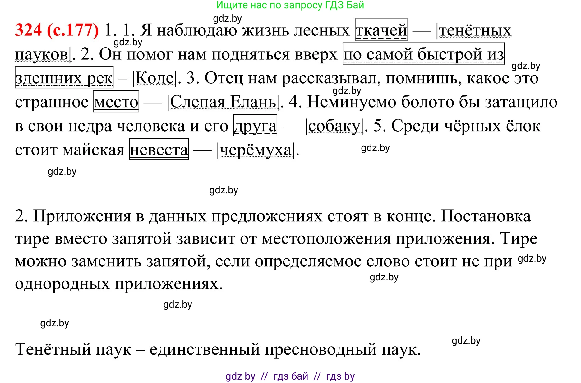 Русский язык, 8 класс Учебник, авторы: Мурина Лариса Александровна, Долбик Елена Евгеньевна, Леонович Валентина Леонидовна, Жадейко Жанна Фёдоровна, издательство Академия образования, Минск, 2024, страница 177, номер 324, Решение
