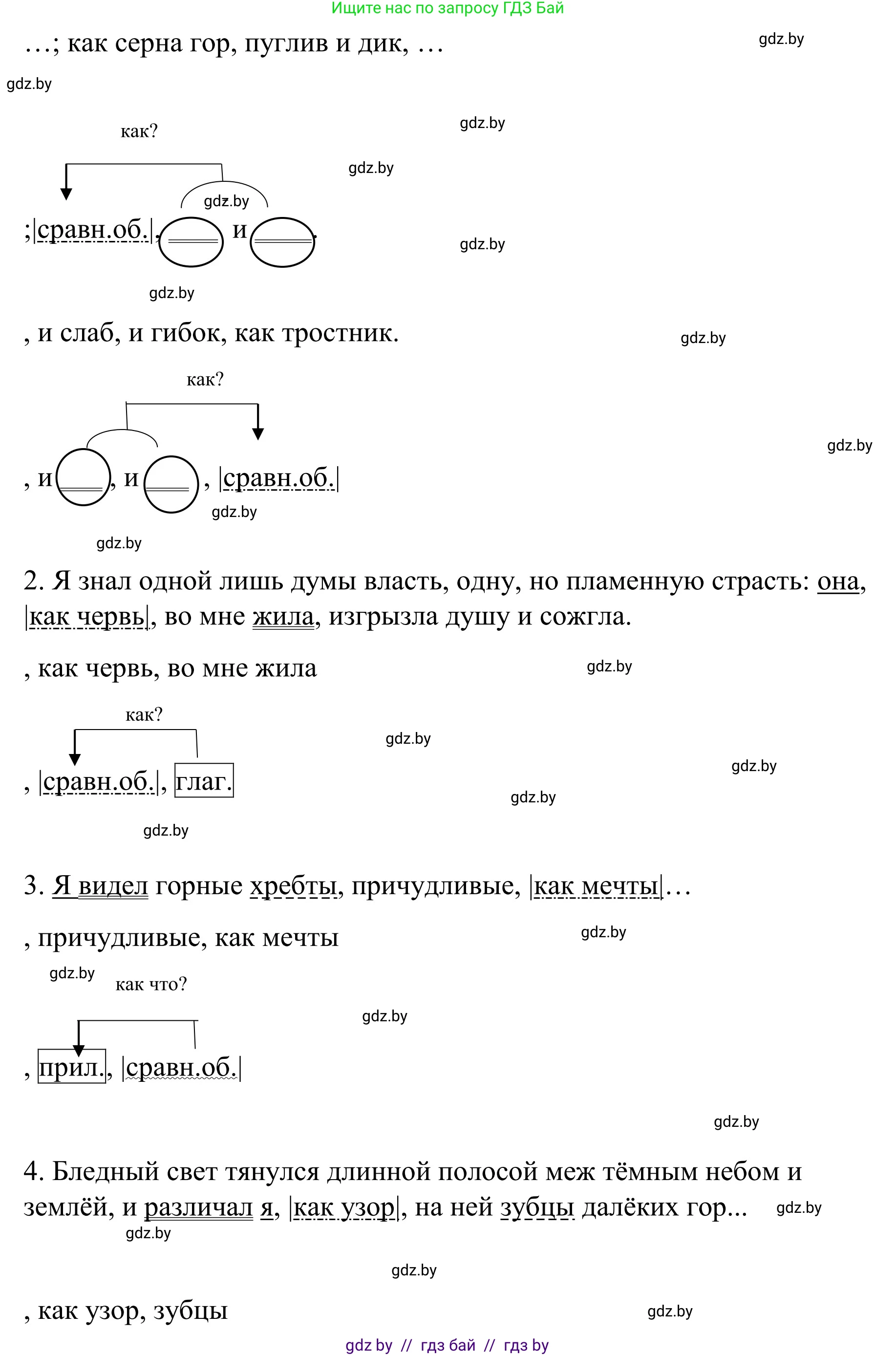 Русский язык, 8 класс Учебник, авторы: Мурина Лариса Александровна, Долбик Елена Евгеньевна, Леонович Валентина Леонидовна, Жадейко Жанна Фёдоровна, издательство Академия образования, Минск, 2024, страница 193, номер 351, Решение (продолжение 2)