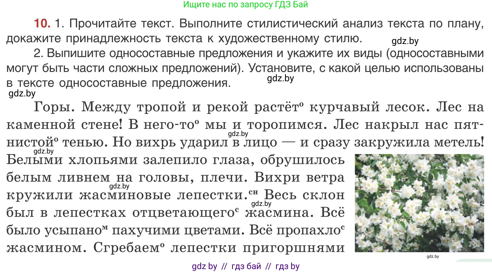 Русский язык, 9 класс Учебник, авторы: Мурина Лариса Александровна, Литвинко Франя Михайловна, Долбик Елена Евгеньевна, Пипченко Н М, Германович С Ф, Таяновская И В, издательство Академия образования, Минск, 2025, страница 11, номер 10, Условие 2025