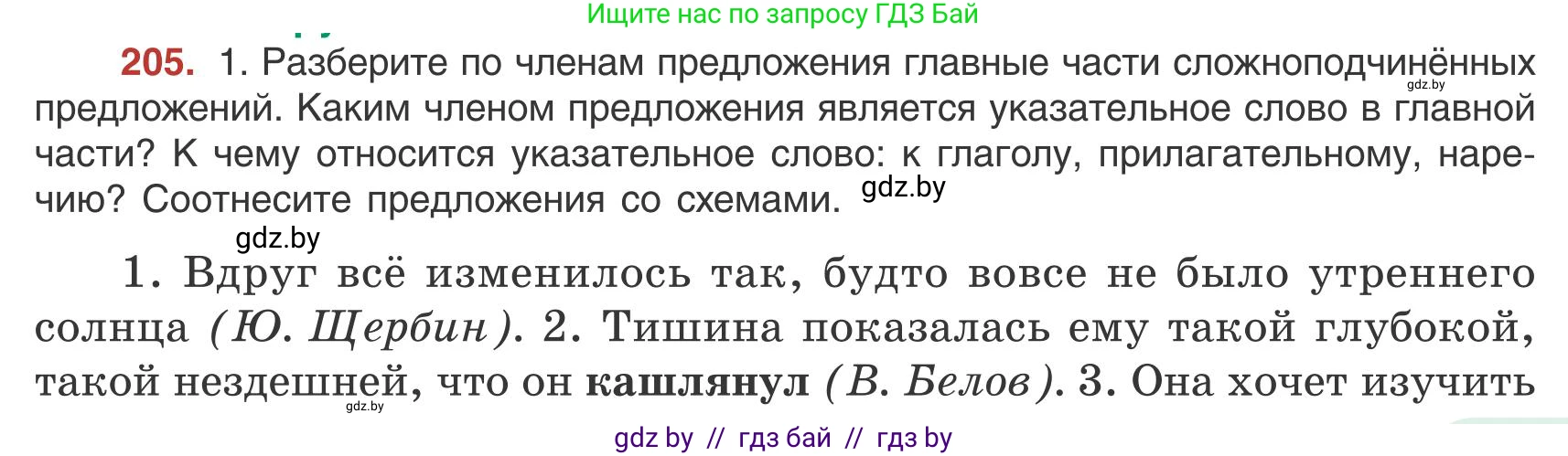 Русский язык, 9 класс Учебник, авторы: Мурина Лариса Александровна, Литвинко Франя Михайловна, Долбик Елена Евгеньевна, Пипченко Н М, Германович С Ф, Таяновская И В, издательство Академия образования, Минск, 2025, страница 115, номер 205, Условие 2025