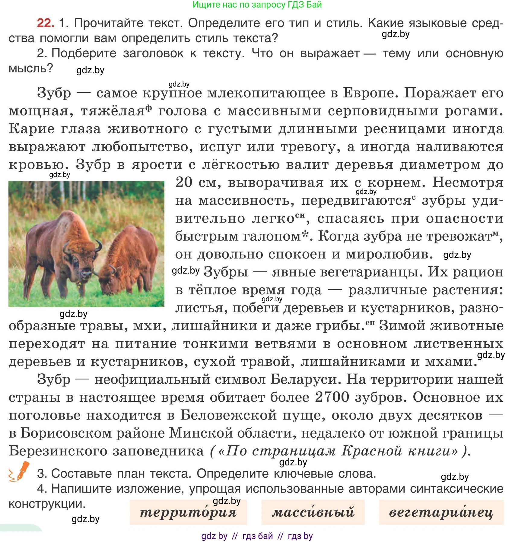 Русский язык, 9 класс Учебник, авторы: Мурина Лариса Александровна, Литвинко Франя Михайловна, Долбик Елена Евгеньевна, Пипченко Н М, Германович С Ф, Таяновская И В, издательство Академия образования, Минск, 2025, страница 18, номер 22, Условие 2025