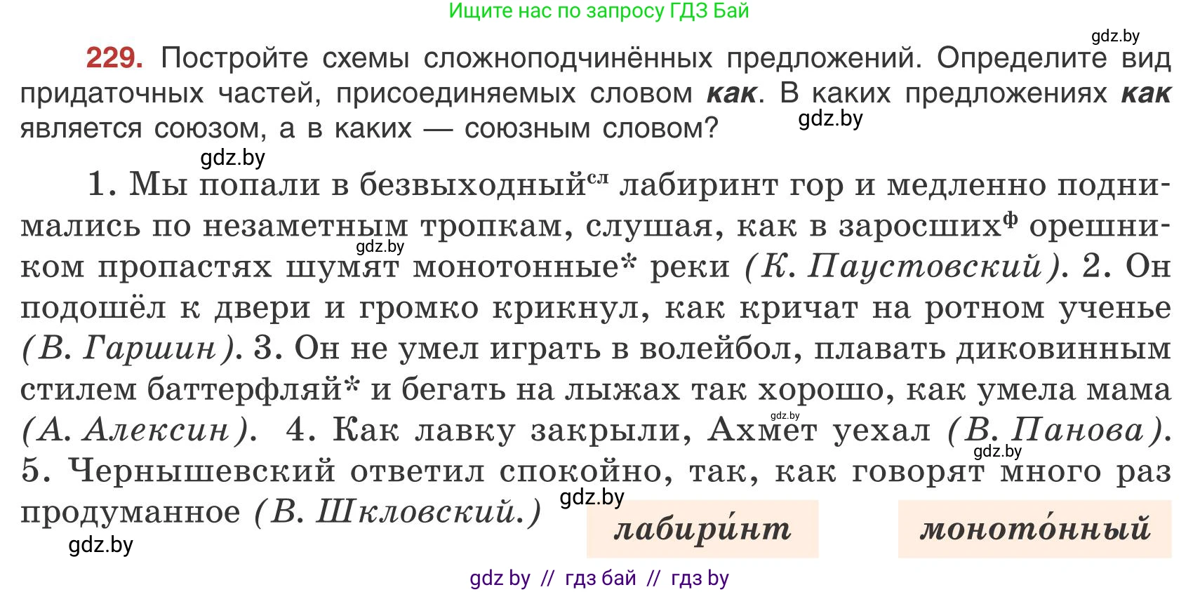 Русский язык, 9 класс Учебник, авторы: Мурина Лариса Александровна, Литвинко Франя Михайловна, Долбик Елена Евгеньевна, Пипченко Н М, Германович С Ф, Таяновская И В, издательство Академия образования, Минск, 2025, страница 126, номер 229, Условие 2025