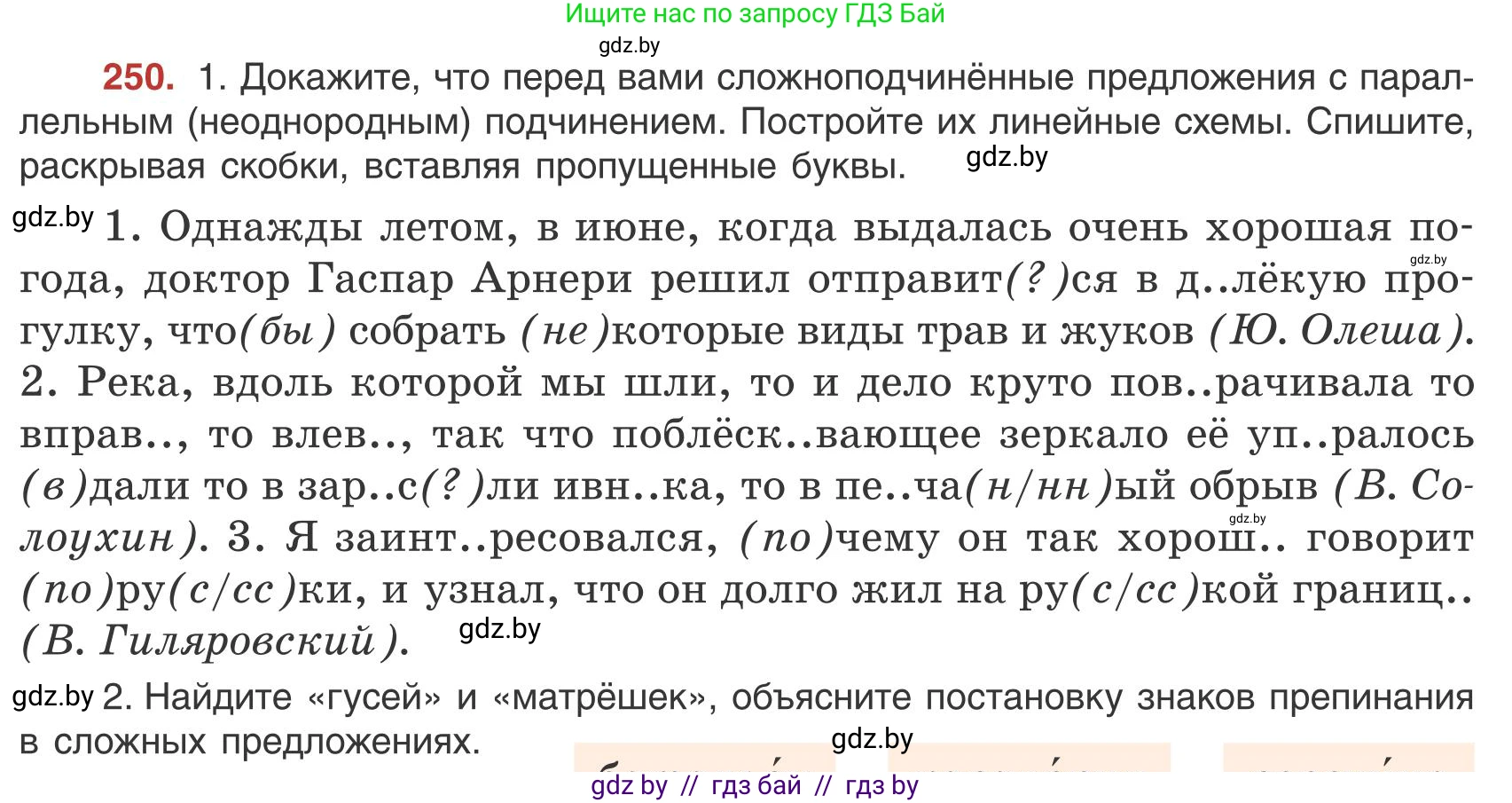 Русский язык, 9 класс Учебник, авторы: Мурина Лариса Александровна, Литвинко Франя Михайловна, Долбик Елена Евгеньевна, Пипченко Н М, Германович С Ф, Таяновская И В, издательство Академия образования, Минск, 2025, страница 141, номер 250, Условие 2025