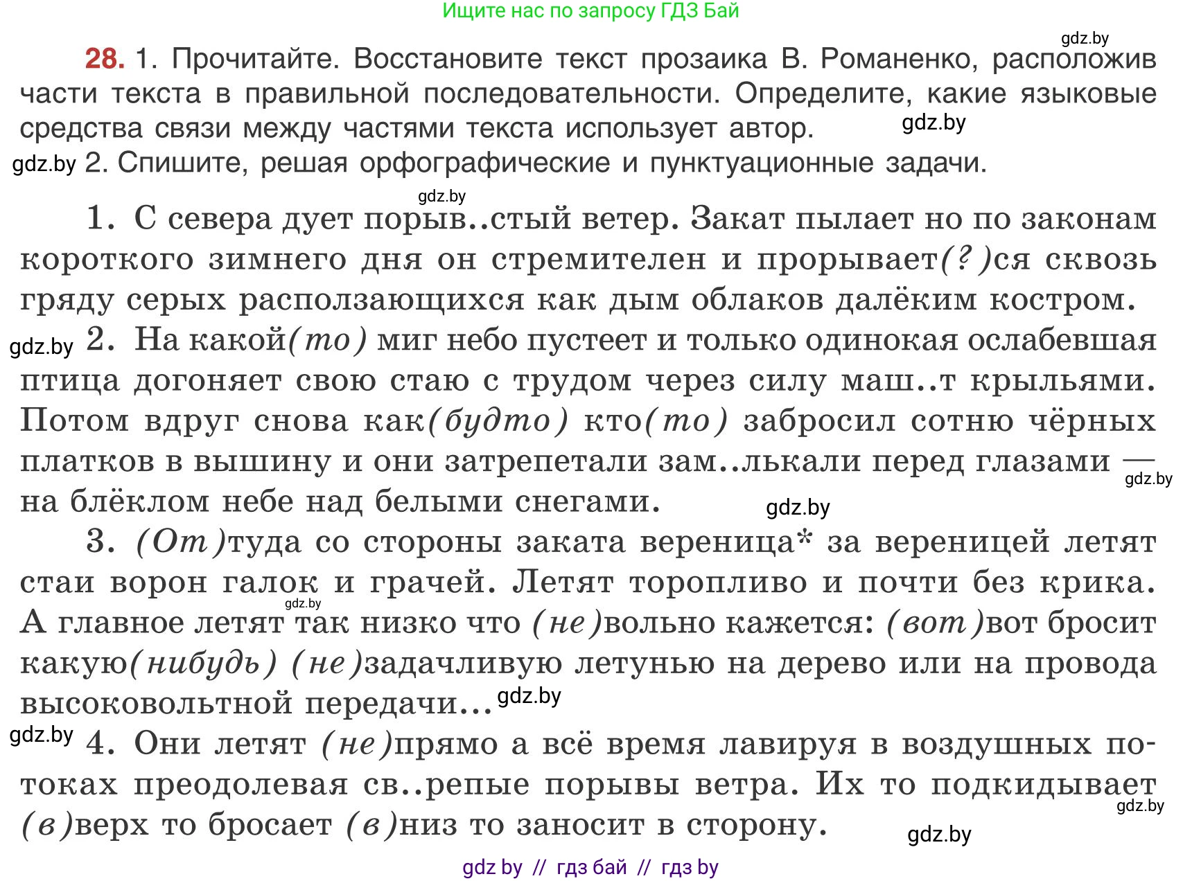 Русский язык, 9 класс Учебник, авторы: Мурина Лариса Александровна, Литвинко Франя Михайловна, Долбик Елена Евгеньевна, Пипченко Н М, Германович С Ф, Таяновская И В, издательство Академия образования, Минск, 2025, страница 22, номер 28, Условие 2025