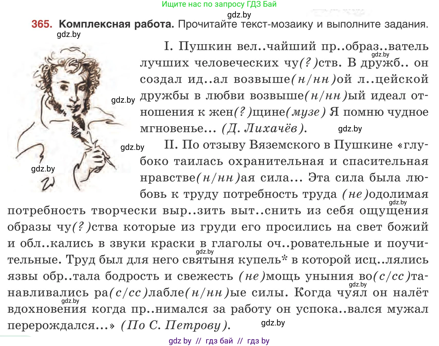 Русский язык, 9 класс Учебник, авторы: Мурина Лариса Александровна, Литвинко Франя Михайловна, Долбик Елена Евгеньевна, Пипченко Н М, Германович С Ф, Таяновская И В, издательство Академия образования, Минск, 2025, страница 206, номер 365, Условие 2025