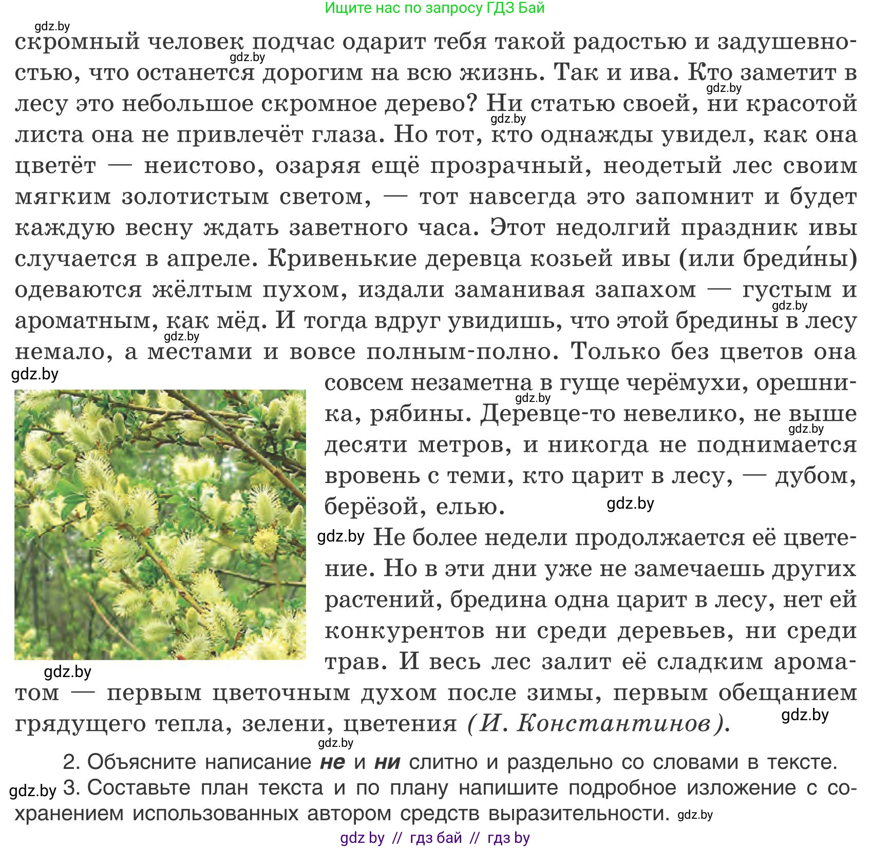 Русский язык, 9 класс Учебник, авторы: Мурина Лариса Александровна, Литвинко Франя Михайловна, Долбик Елена Евгеньевна, Пипченко Н М, Германович С Ф, Таяновская И В, издательство Академия образования, Минск, 2025, страница 33, номер 42, Условие 2025 (продолжение 2)