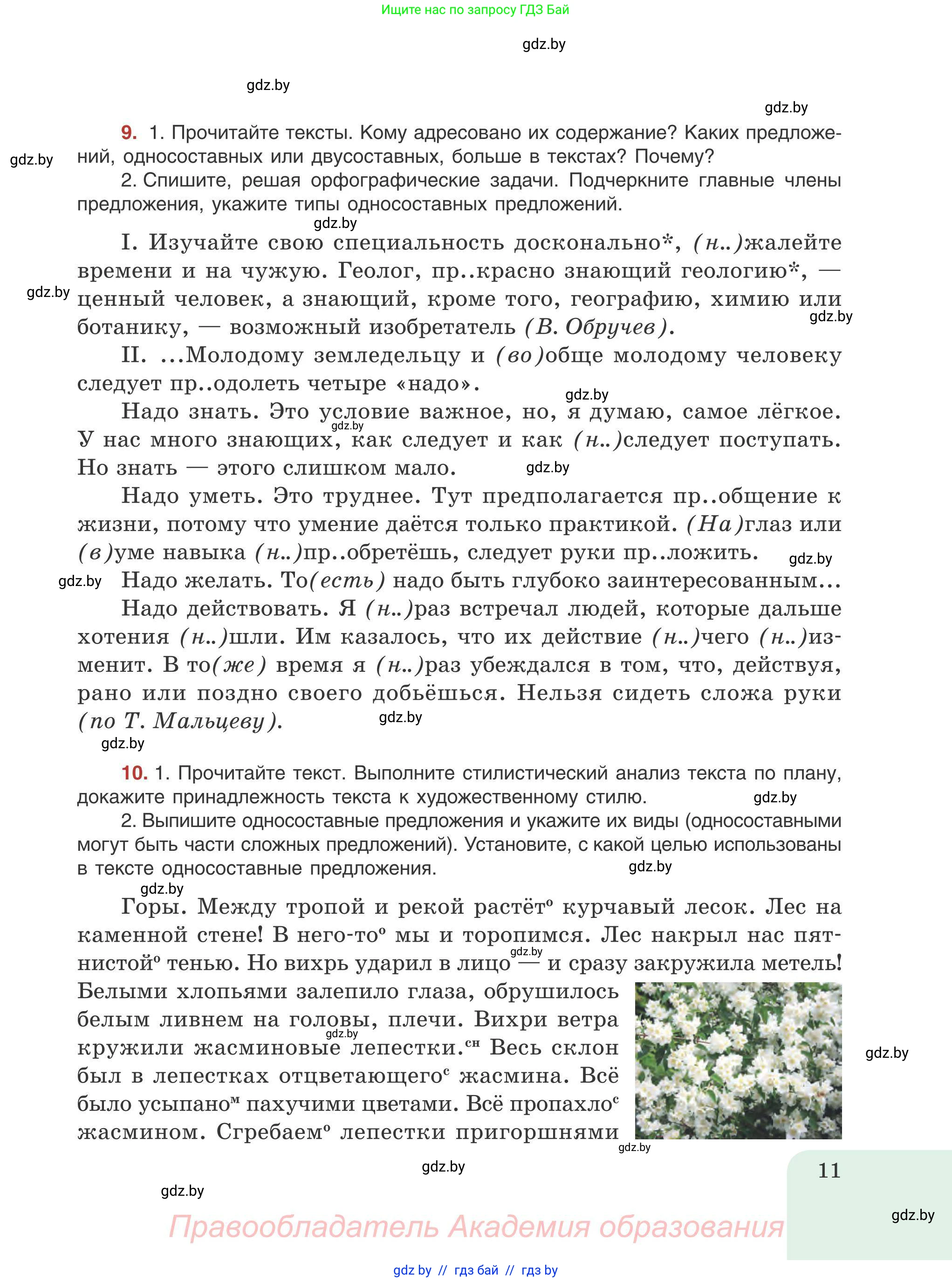 Русский язык, 9 класс Учебник, авторы: Мурина Лариса Александровна, Литвинко Франя Михайловна, Долбик Елена Евгеньевна, Пипченко Н М, Германович С Ф, Таяновская И В, издательство Академия образования, Минск, 2025, страница 11