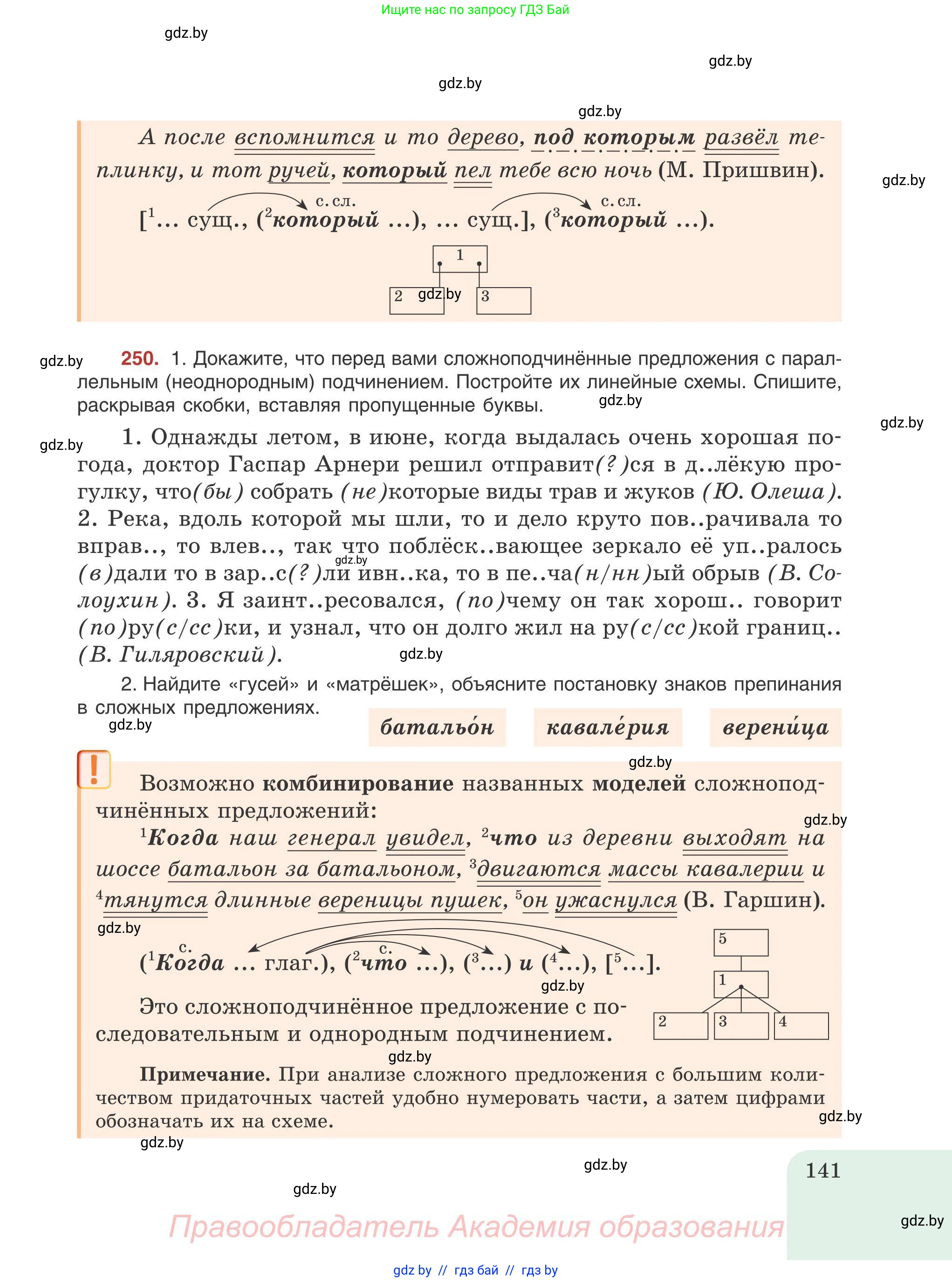 Русский язык, 9 класс Учебник, авторы: Мурина Лариса Александровна, Литвинко Франя Михайловна, Долбик Елена Евгеньевна, Пипченко Н М, Германович С Ф, Таяновская И В, издательство Академия образования, Минск, 2025, страница 141
