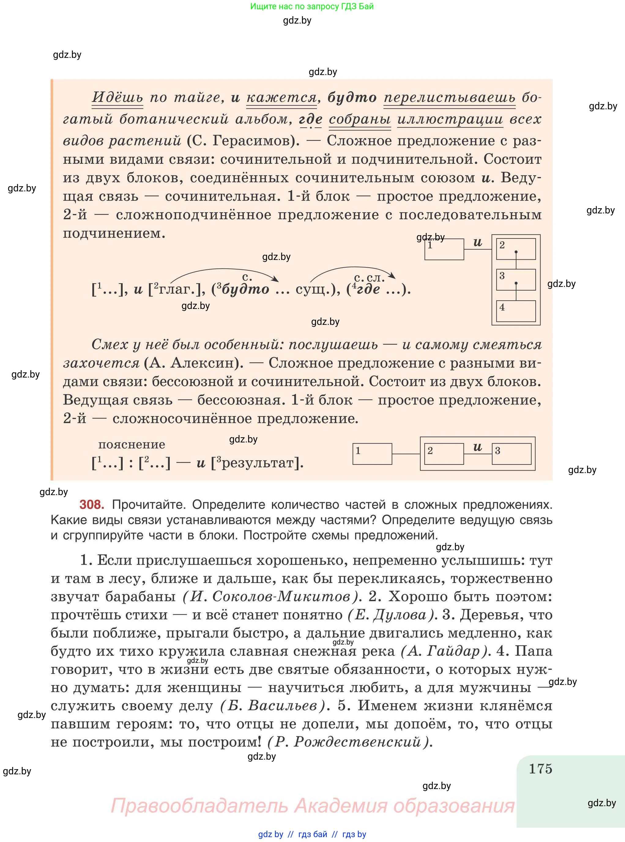 Русский язык, 9 класс Учебник, авторы: Мурина Лариса Александровна, Литвинко Франя Михайловна, Долбик Елена Евгеньевна, Пипченко Н М, Германович С Ф, Таяновская И В, издательство Академия образования, Минск, 2025, страница 175