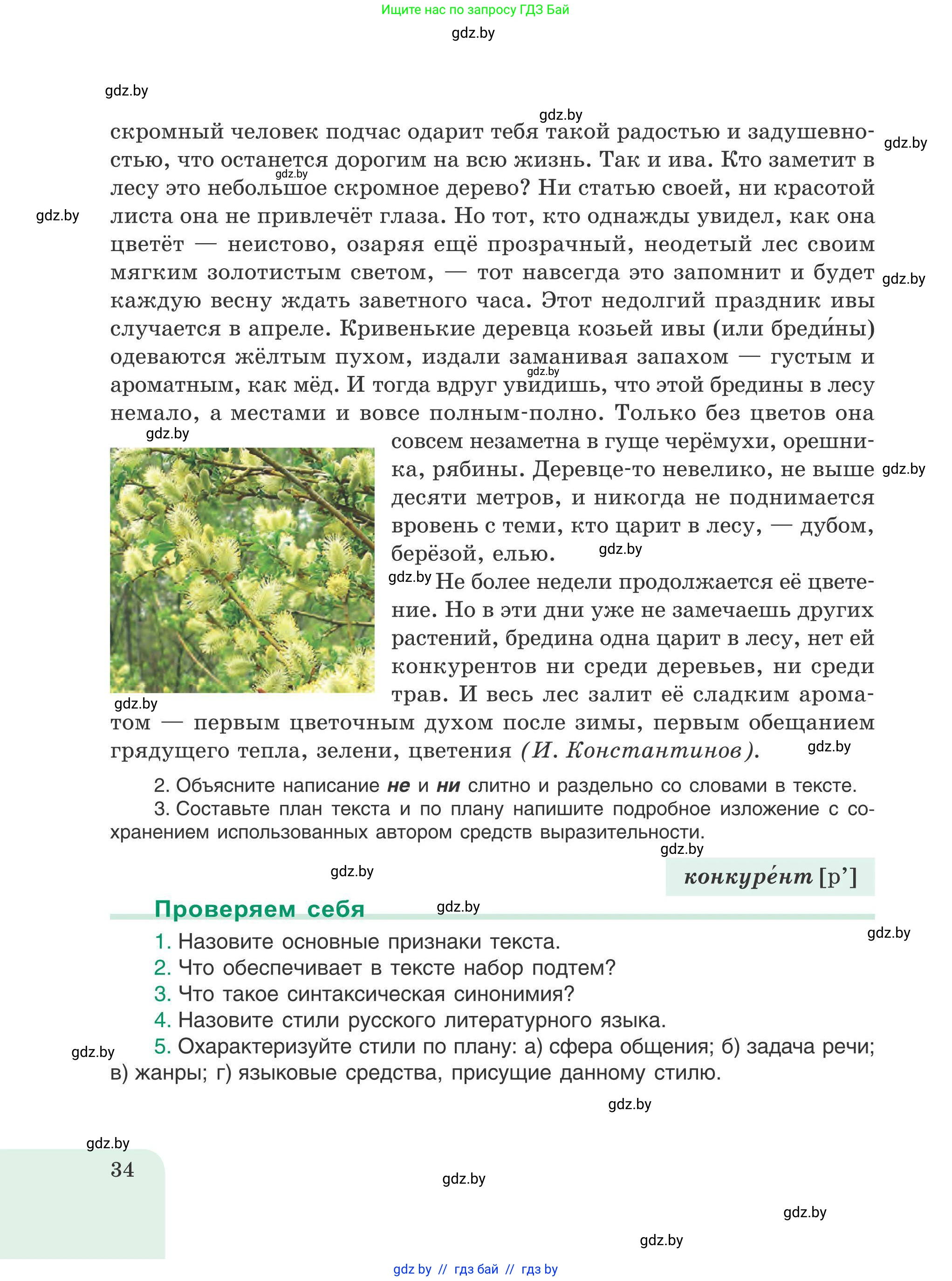 Русский язык, 9 класс Учебник, авторы: Мурина Лариса Александровна, Литвинко Франя Михайловна, Долбик Елена Евгеньевна, Пипченко Н М, Германович С Ф, Таяновская И В, издательство Академия образования, Минск, 2025, страница 34
