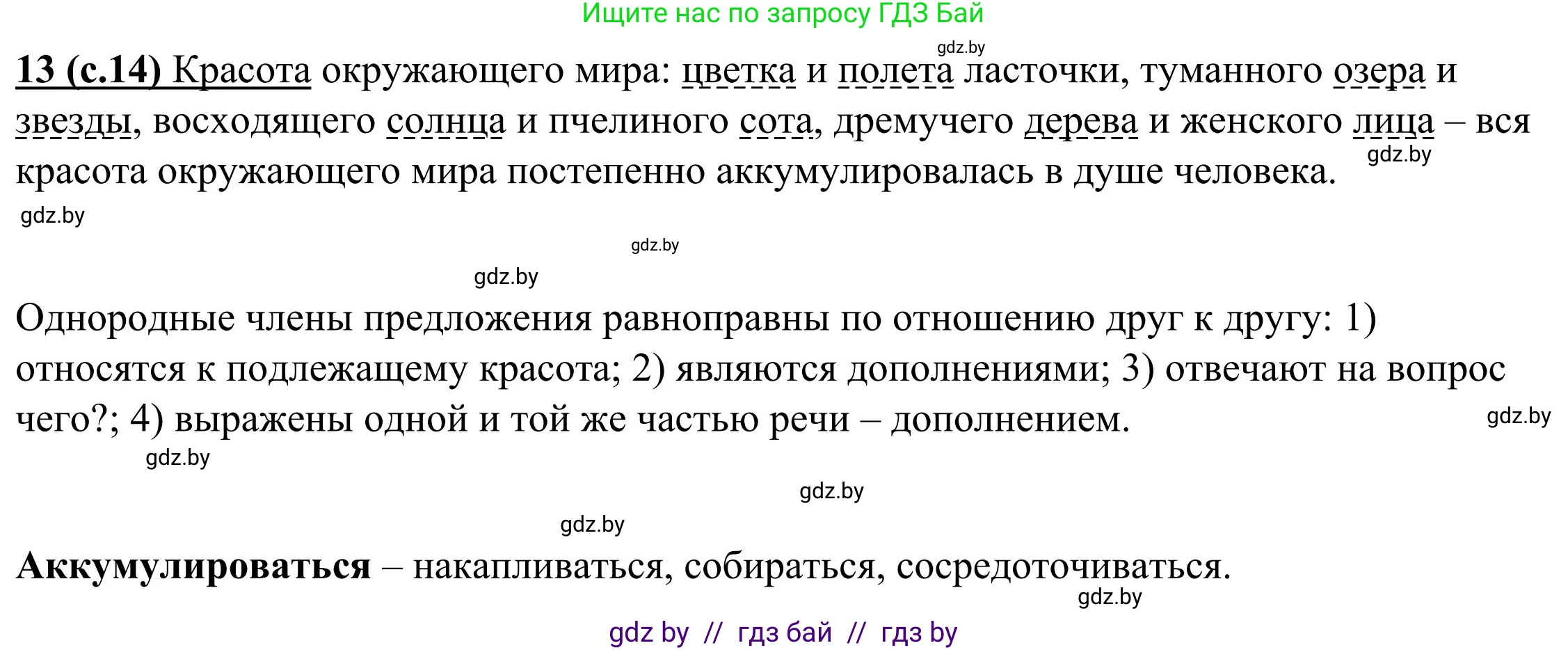 Русский язык, 9 класс Учебник, авторы: Мурина Лариса Александровна, Литвинко Франя Михайловна, Долбик Елена Евгеньевна, Пипченко Н М, Германович С Ф, Таяновская И В, издательство Академия образования, Минск, 2025, страница 14, номер 13, Решение 2025