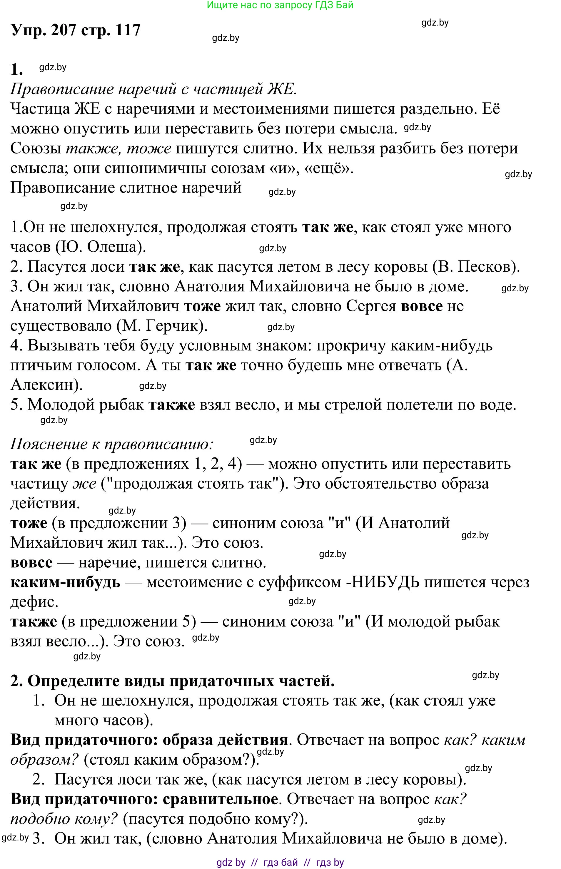 Русский язык, 9 класс Учебник, авторы: Мурина Лариса Александровна, Литвинко Франя Михайловна, Долбик Елена Евгеньевна, Пипченко Н М, Германович С Ф, Таяновская И В, издательство Академия образования, Минск, 2025, страница 117, номер 207, Решение 2025