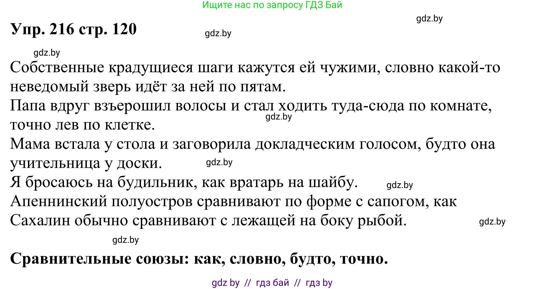 Русский язык, 9 класс Учебник, авторы: Мурина Лариса Александровна, Литвинко Франя Михайловна, Долбик Елена Евгеньевна, Пипченко Н М, Германович С Ф, Таяновская И В, издательство Академия образования, Минск, 2025, страница 120, номер 216, Решение 2025