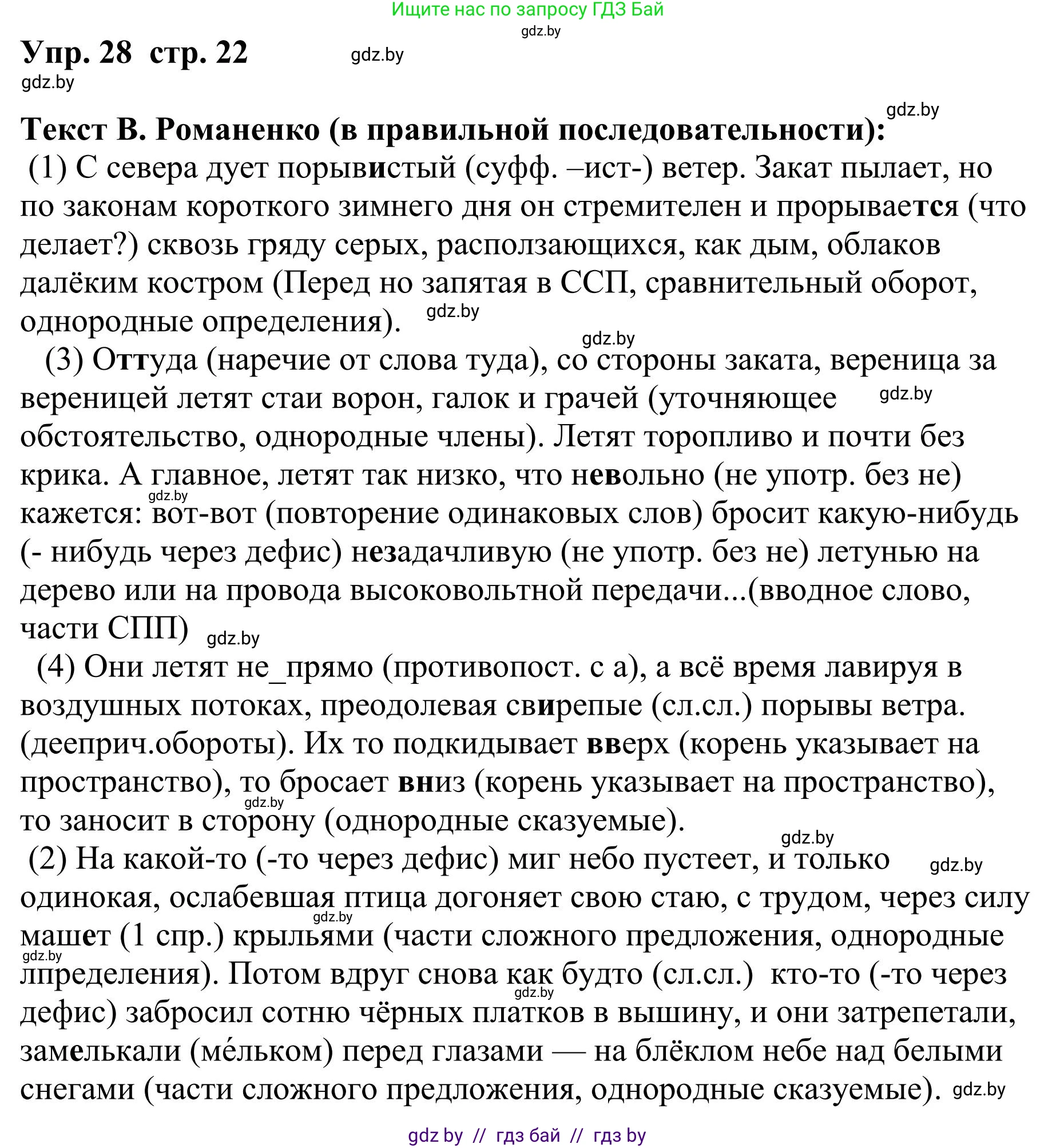 Русский язык, 9 класс Учебник, авторы: Мурина Лариса Александровна, Литвинко Франя Михайловна, Долбик Елена Евгеньевна, Пипченко Н М, Германович С Ф, Таяновская И В, издательство Академия образования, Минск, 2025, страница 22, номер 28, Решение 2025