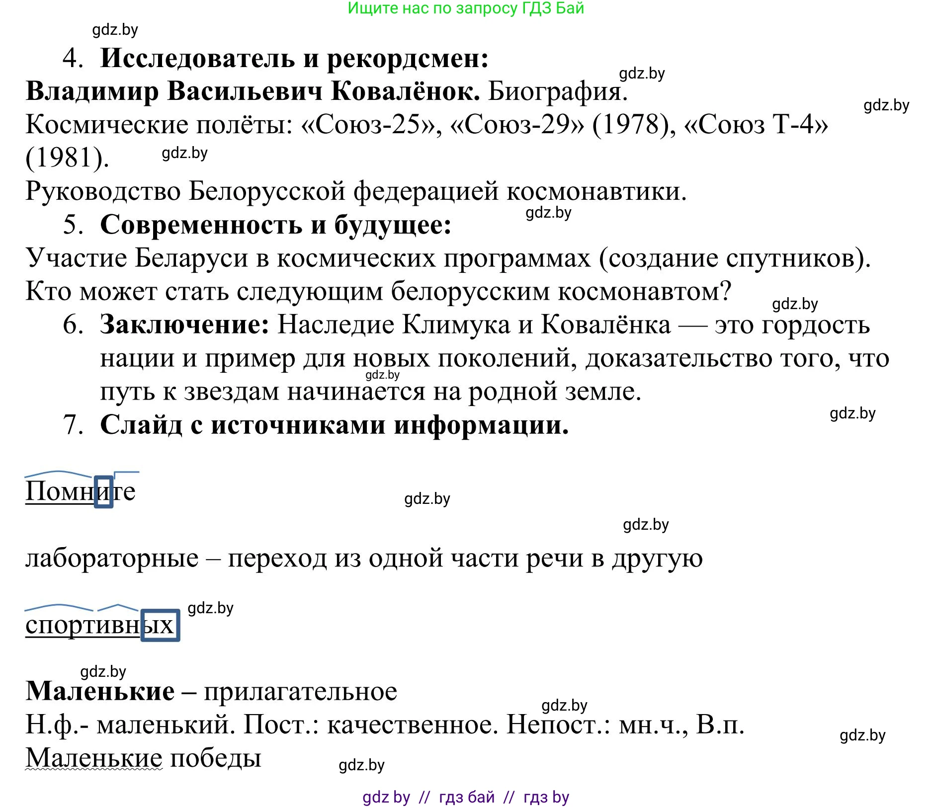 Русский язык, 9 класс Учебник, авторы: Мурина Лариса Александровна, Литвинко Франя Михайловна, Долбик Елена Евгеньевна, Пипченко Н М, Германович С Ф, Таяновская И В, издательство Академия образования, Минск, 2025, страница 216, номер 379, Решение 2025 (продолжение 3)