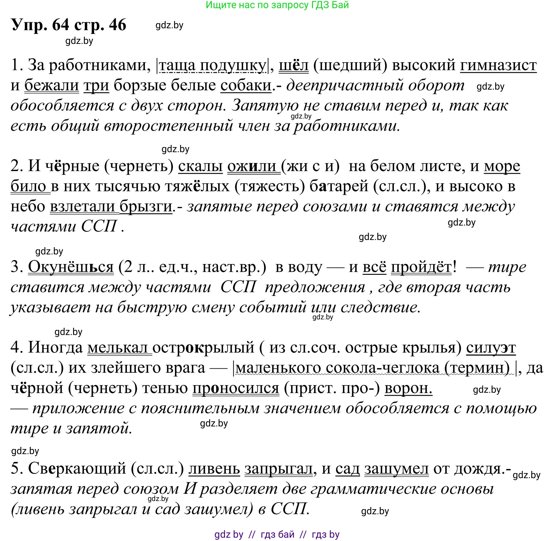 Русский язык, 9 класс Учебник, авторы: Мурина Лариса Александровна, Литвинко Франя Михайловна, Долбик Елена Евгеньевна, Пипченко Н М, Германович С Ф, Таяновская И В, издательство Академия образования, Минск, 2025, страница 46, номер 64, Решение 2025