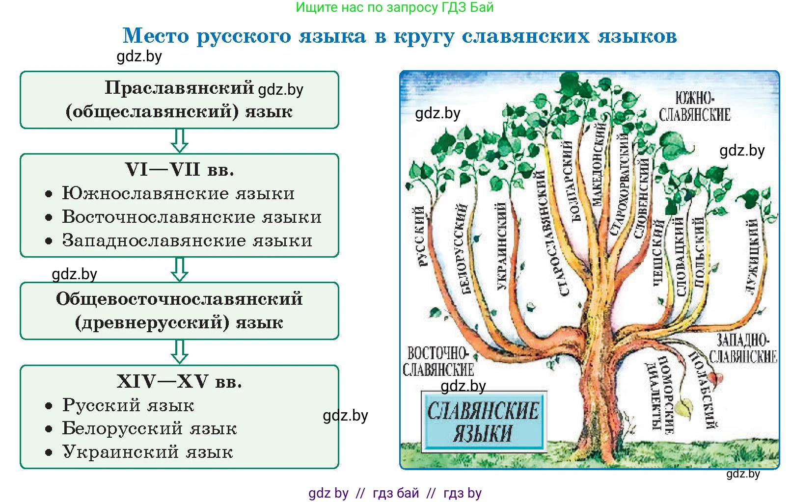 Русский язык, 10 класс Учебник, авторы: Леонович Валентина Леонидовна, Саникович Валентина Александровна, Литвинко Франя Михайловна, Волынец Татьяна Николаевна, Долбик Елена Евгеньевна, Малецкая М И, Мурина Лариса Александровна, Таяновская И В, издательство Национальный институт образования, Минск, 2020, страница 14, номер 18, Условие (продолжение 2)