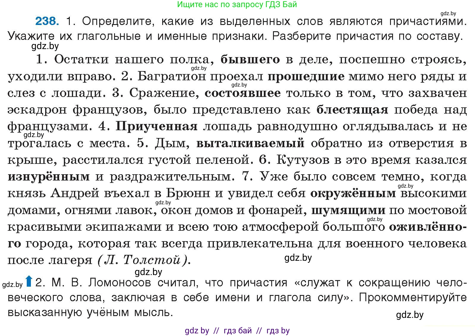 Русский язык, 10 класс Учебник, авторы: Леонович Валентина Леонидовна, Саникович Валентина Александровна, Литвинко Франя Михайловна, Волынец Татьяна Николаевна, Долбик Елена Евгеньевна, Малецкая М И, Мурина Лариса Александровна, Таяновская И В, издательство Национальный институт образования, Минск, 2020, страница 133, номер 238, Условие