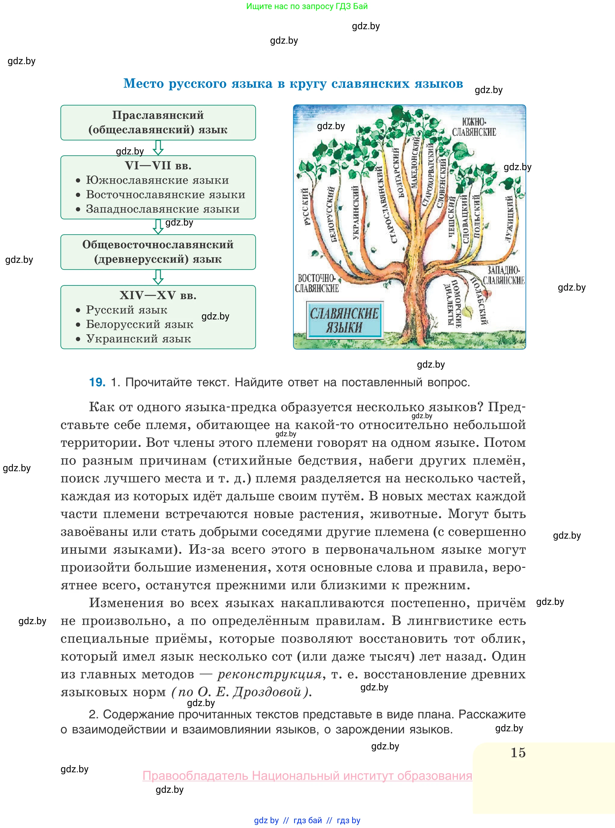 Русский язык, 10 класс Учебник, авторы: Леонович Валентина Леонидовна, Саникович Валентина Александровна, Литвинко Франя Михайловна, Волынец Татьяна Николаевна, Долбик Елена Евгеньевна, Малецкая М И, Мурина Лариса Александровна, Таяновская И В, издательство Национальный институт образования, Минск, 2020, страница 15